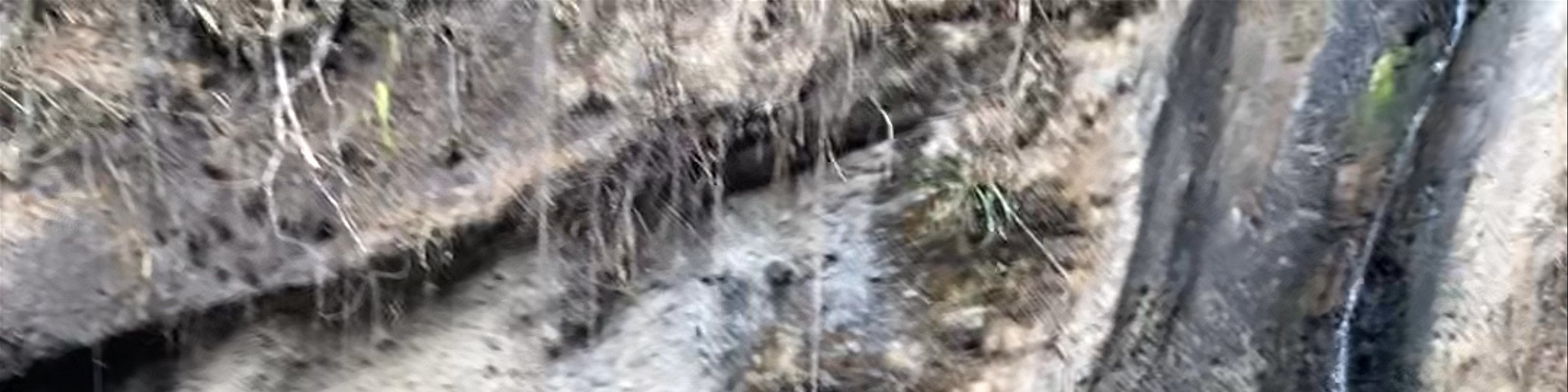 Sololá