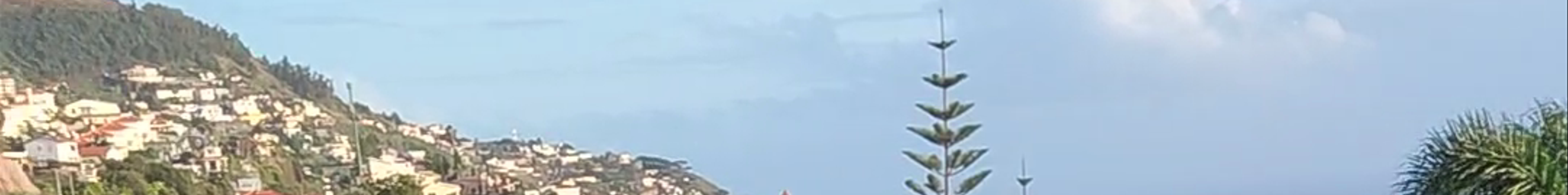 Tours & experiences in Funchal