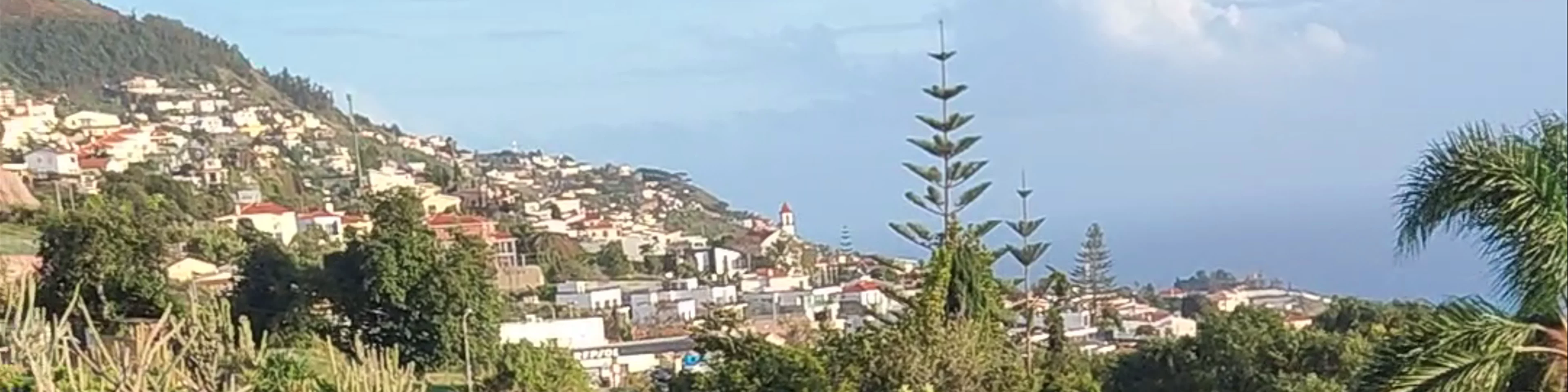 Jardim Botânico da Madeira