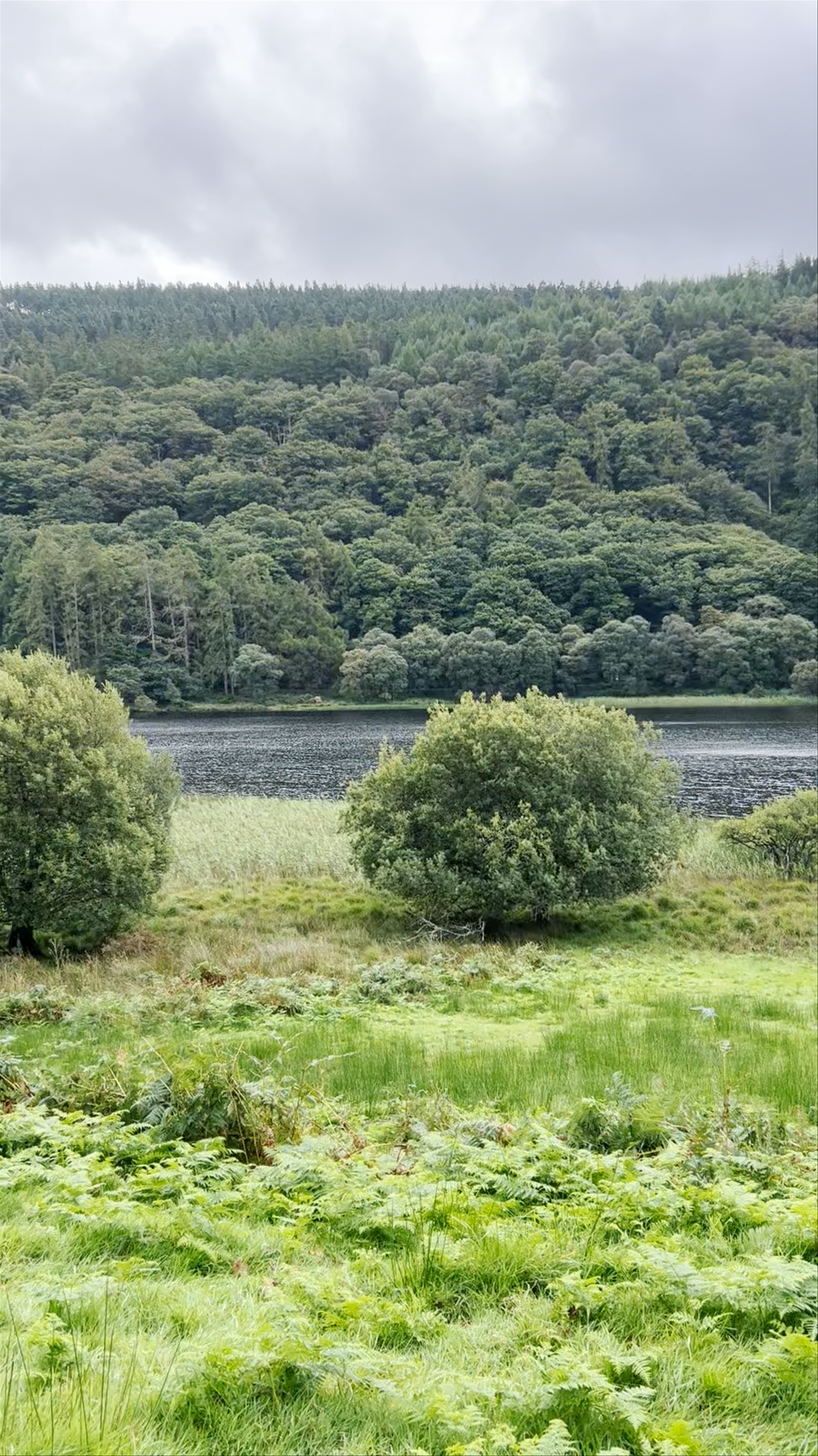 Wicklow Mountains National Park