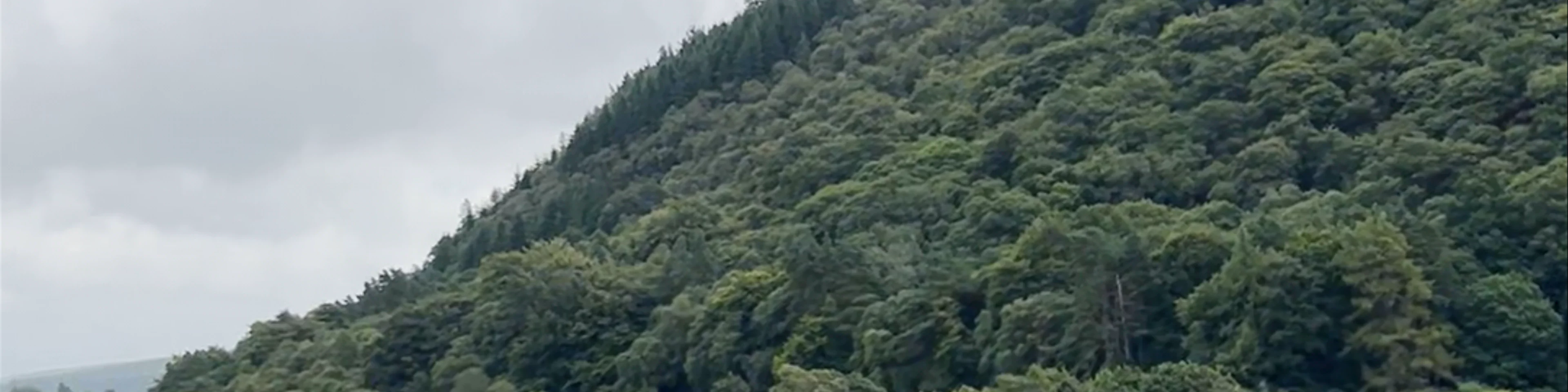 Wicklow Mountains National Park