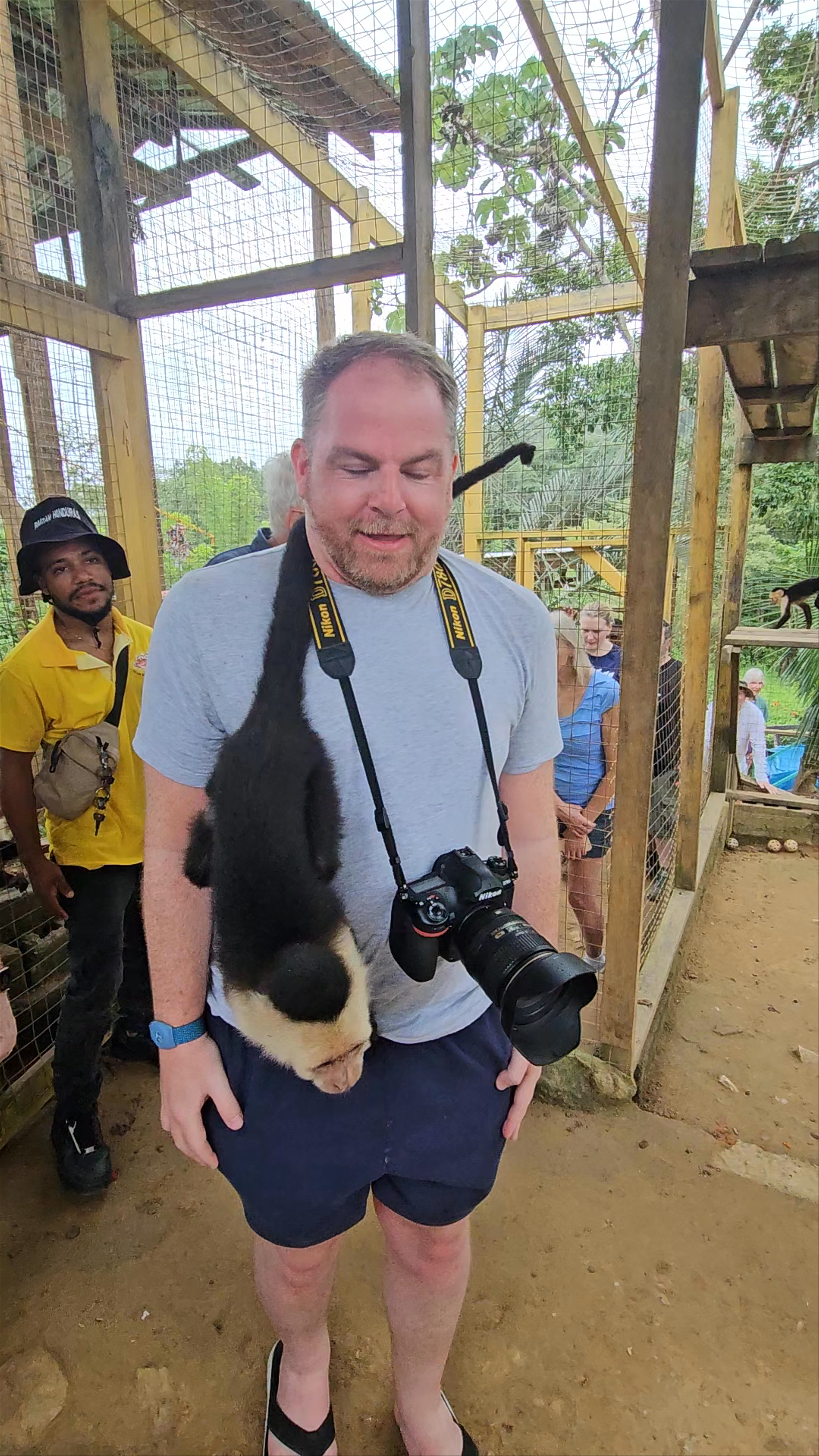 AJ's Monkeys and Sloths