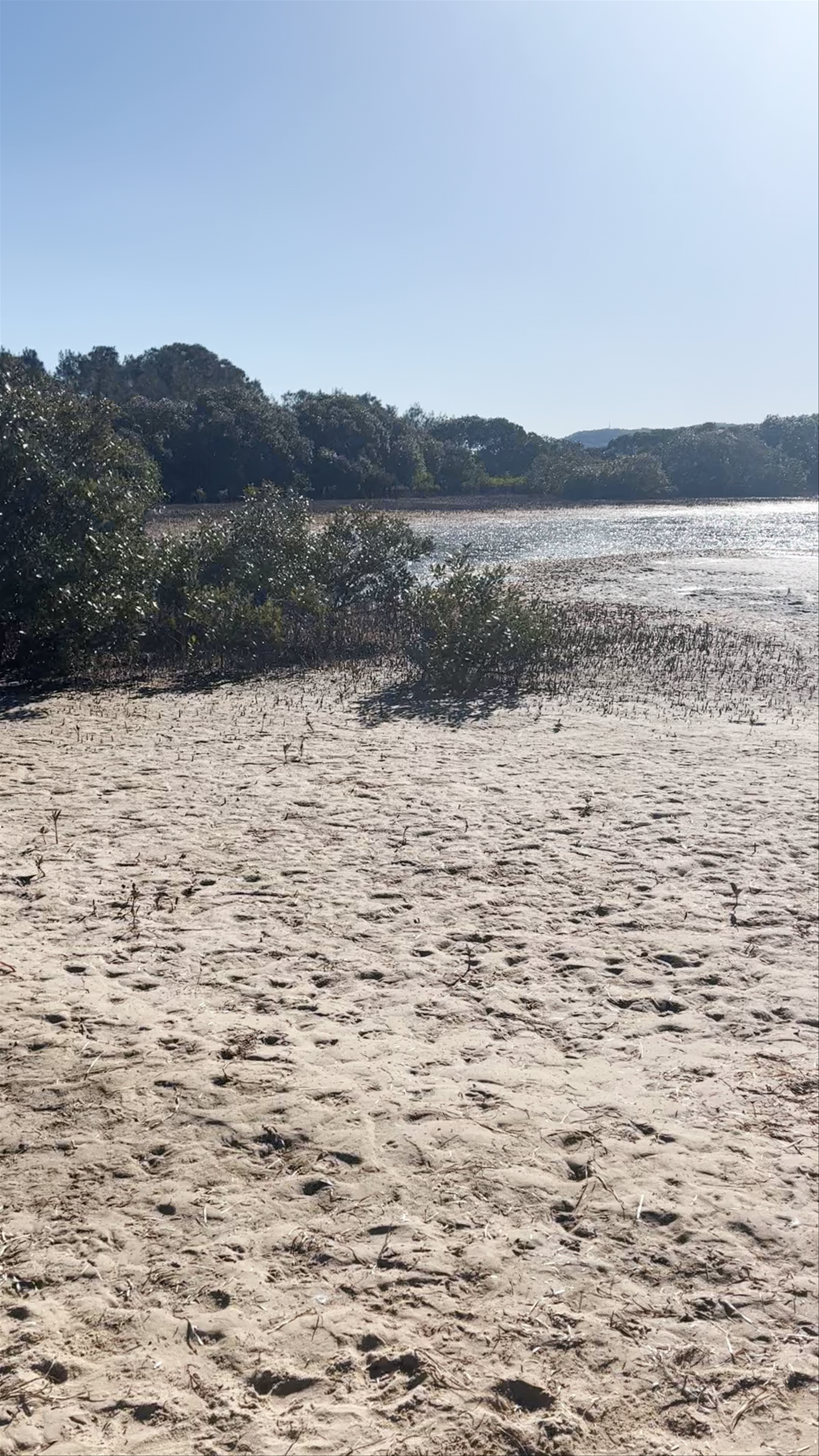 Saratoga Island Nature Reserve