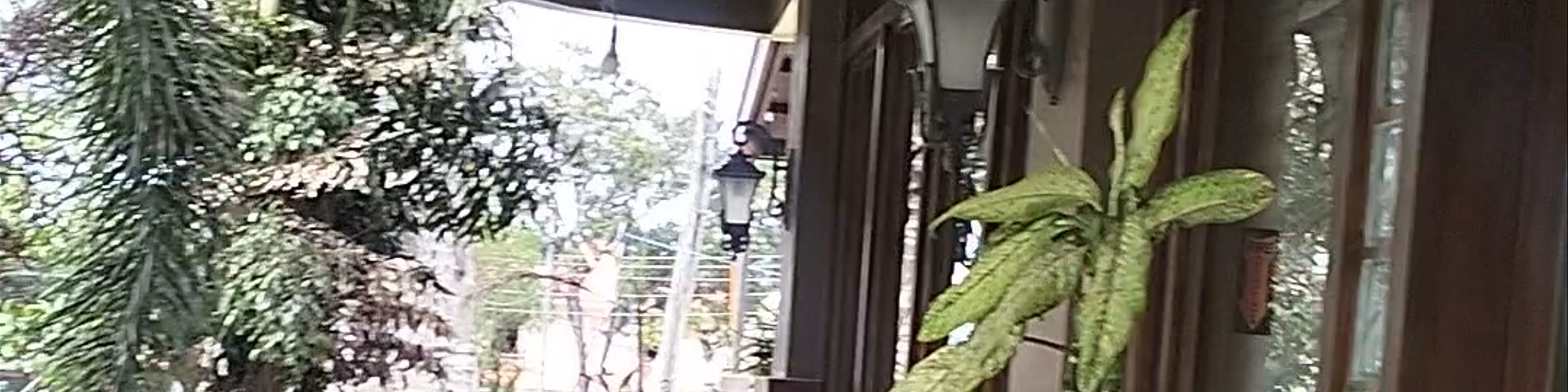 Siquijor