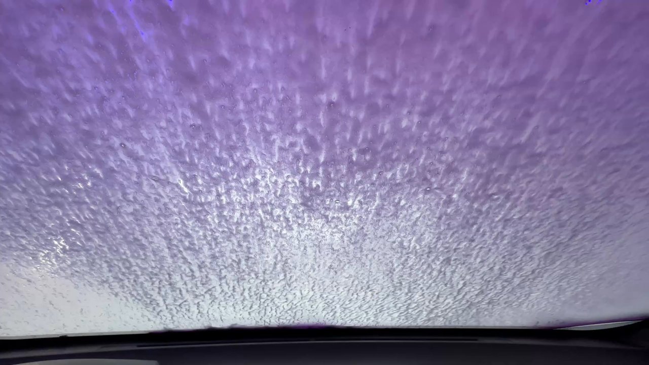 Elephant Car Wash - 1/10/26 - Car Wash Near Me - Sumner, Washington