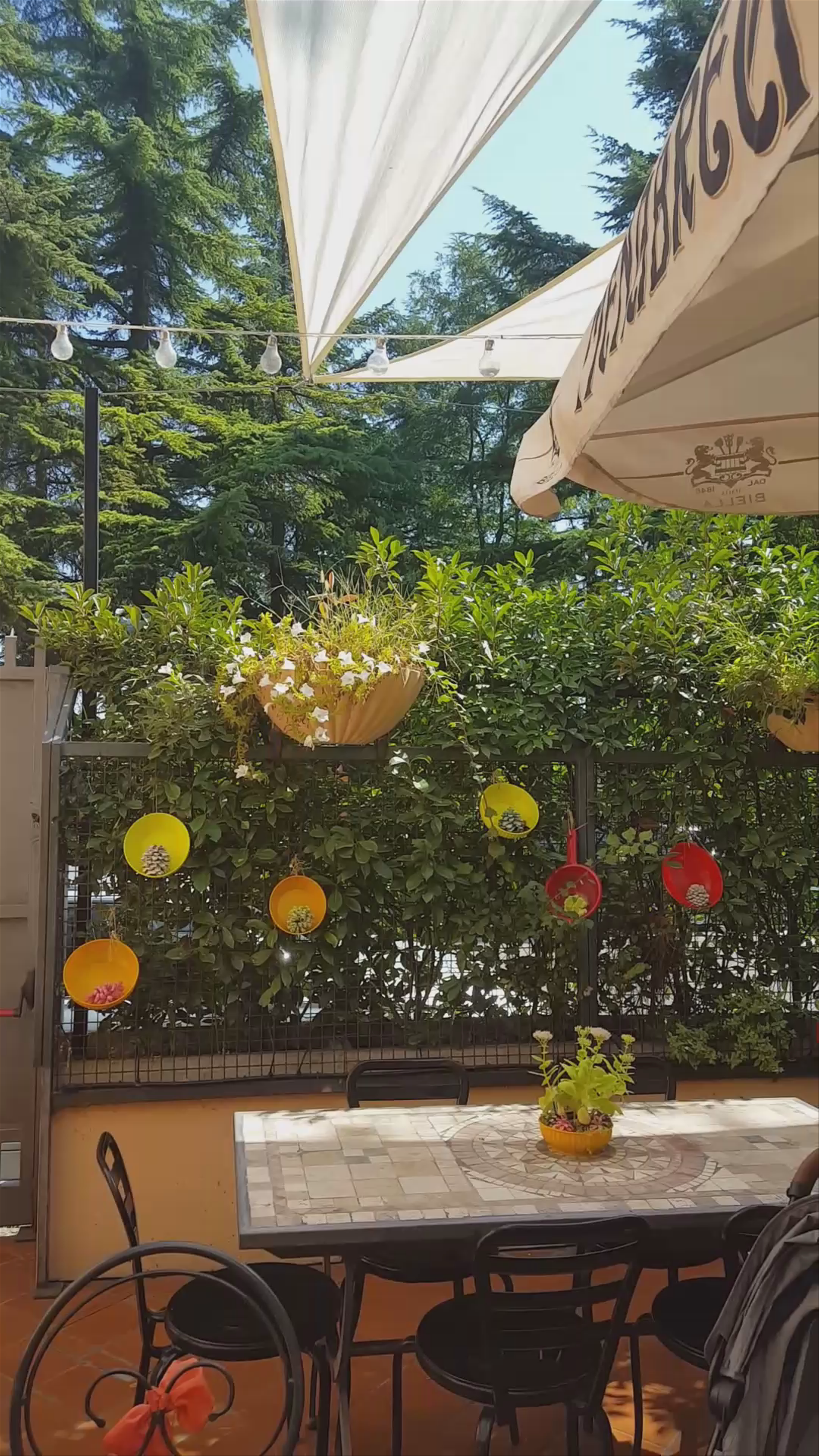 Al Fresco Dining at Vito a San Luca, Bologna