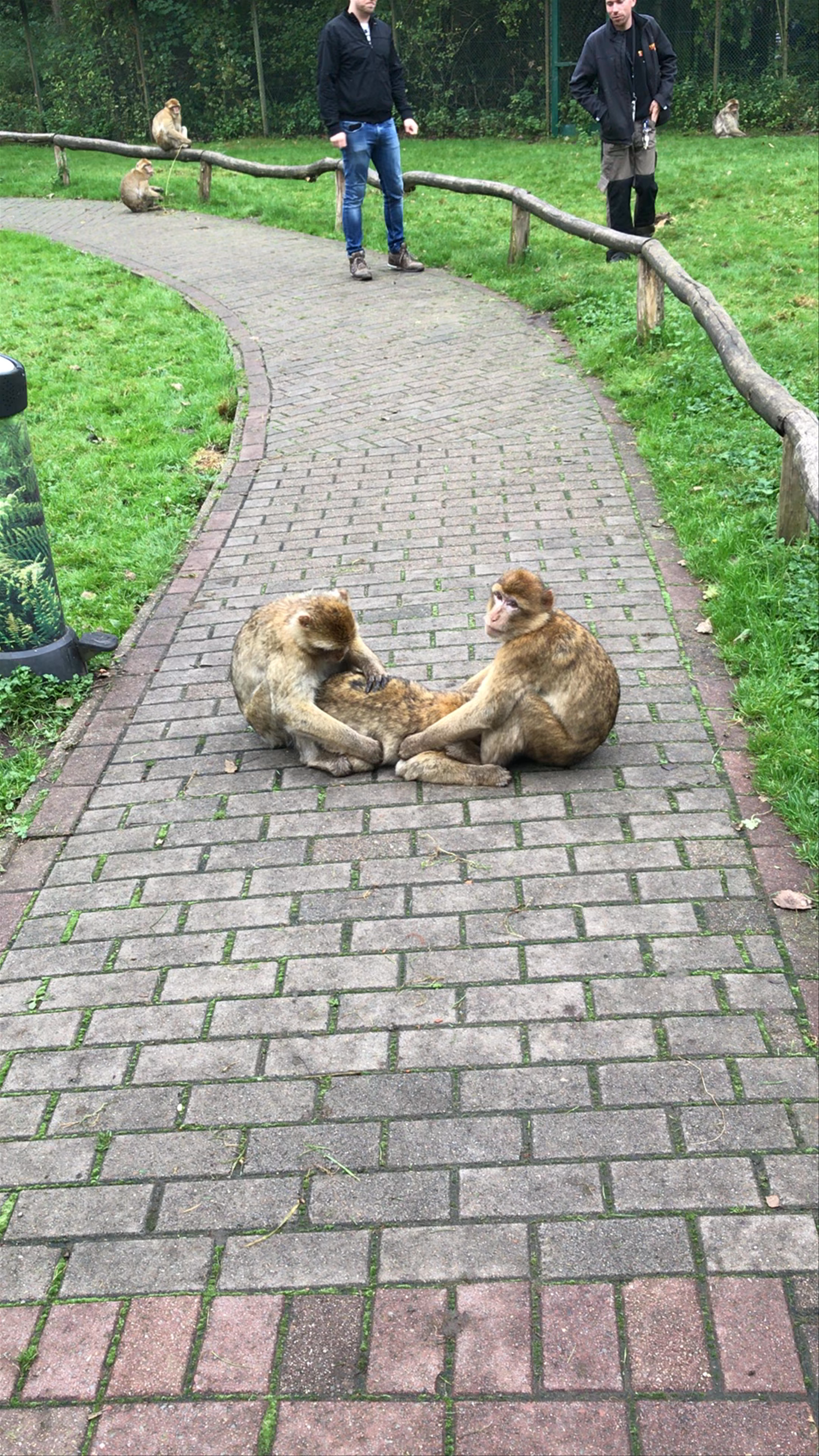 Serengeti Park Hodenhagen