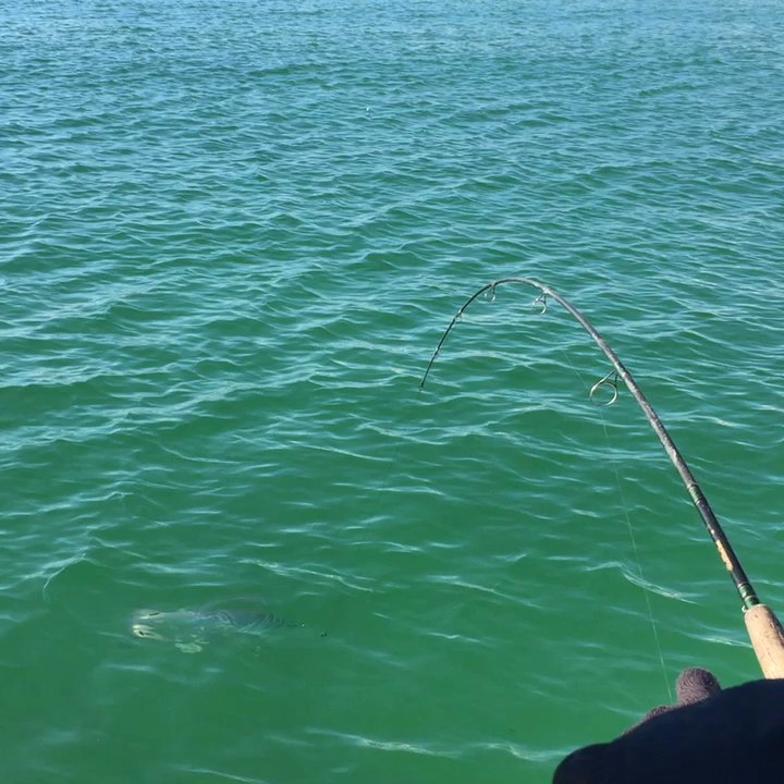 Panhandle Charters and Guide Service - Fishing Near Me - Pensacola, Florida