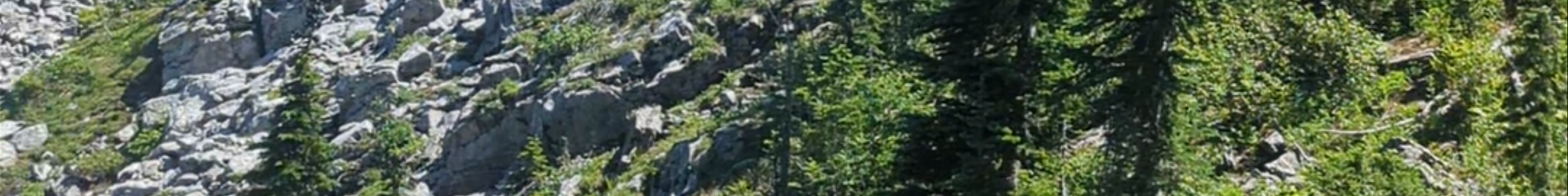 Tours & experiences in Salmon Arm