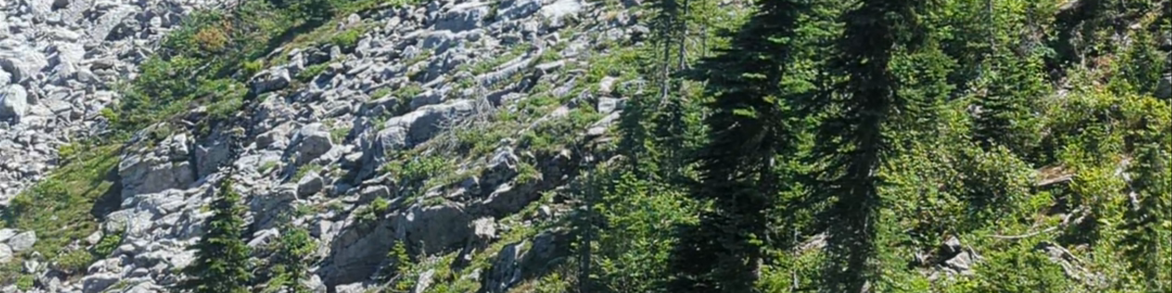Salmon Arm