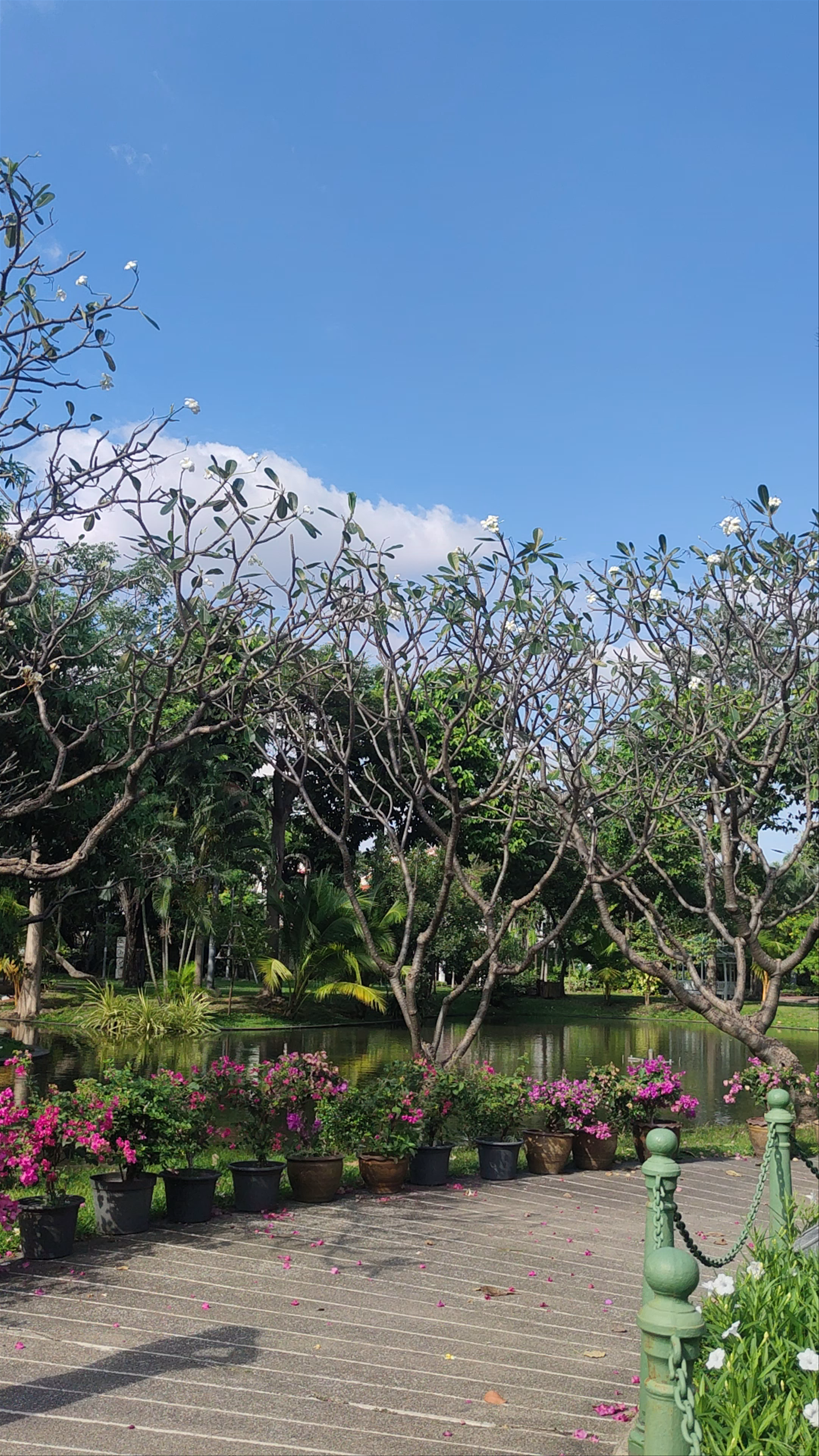 Saranrom Palace Park: Serene Urban Oasis in Bangkok