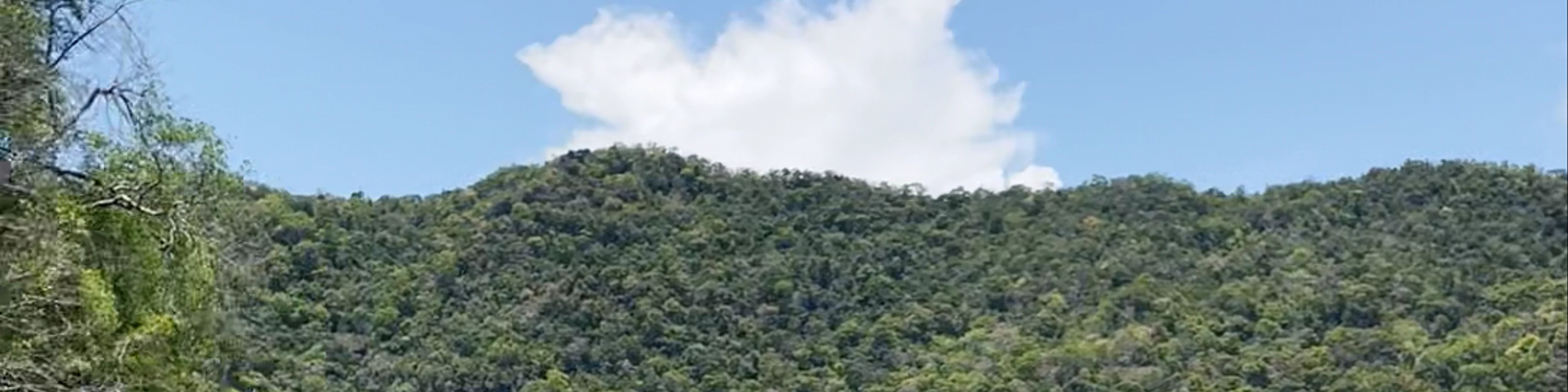 I Mangroove Langkawi