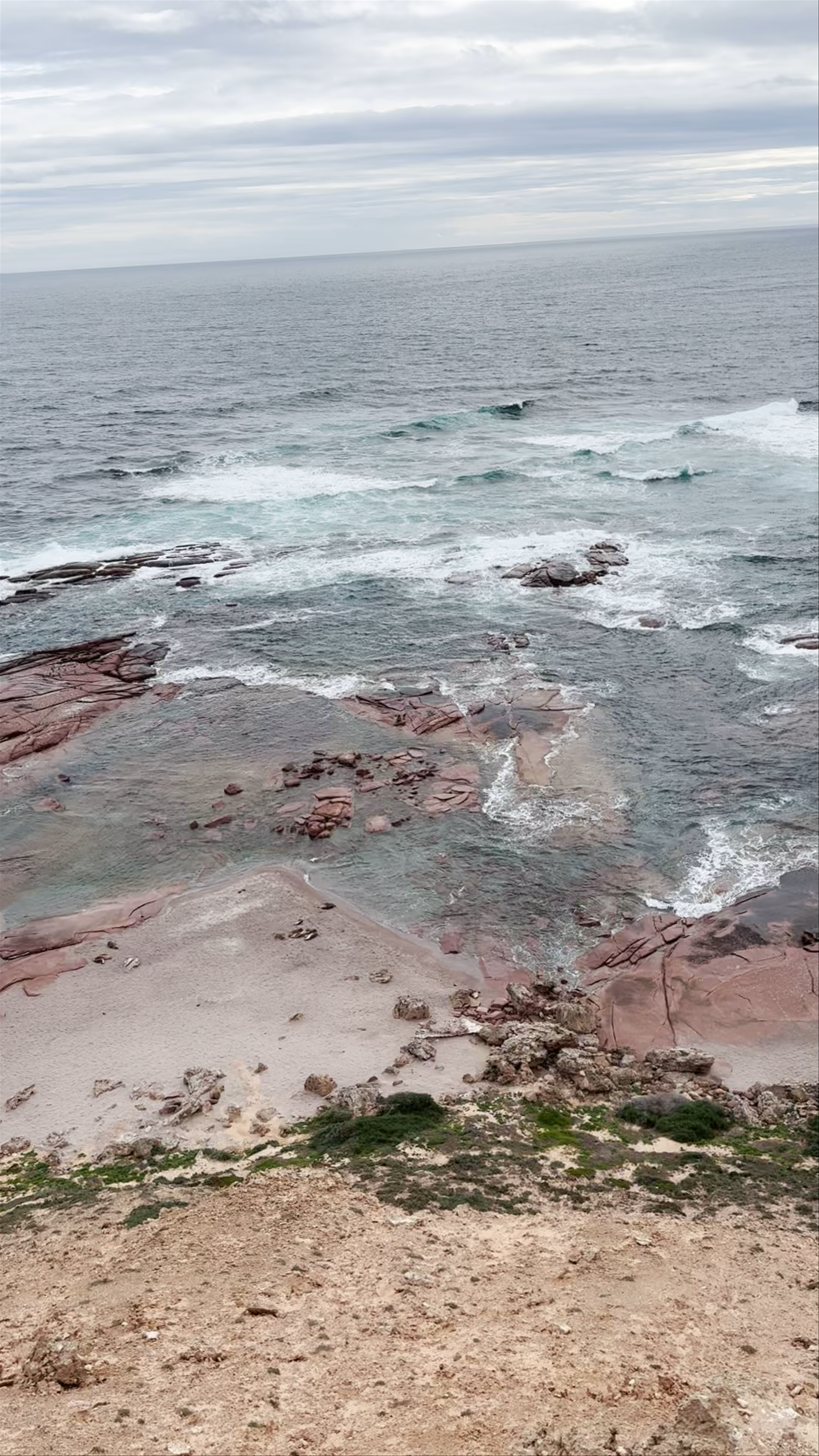 Point Labatt Sea Lion Colony
