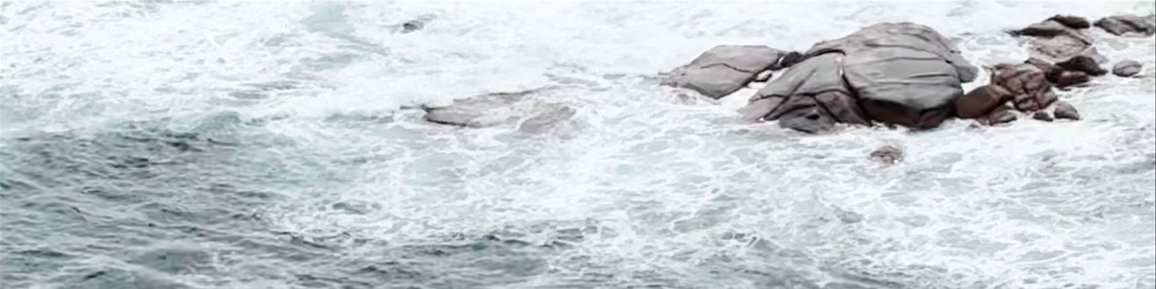 Point Labatt Sea Lion Colony