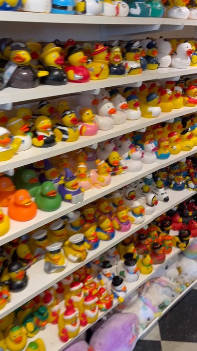 Ducks In The Window - Candy Stores Near Me - Chatham, Massachusetts