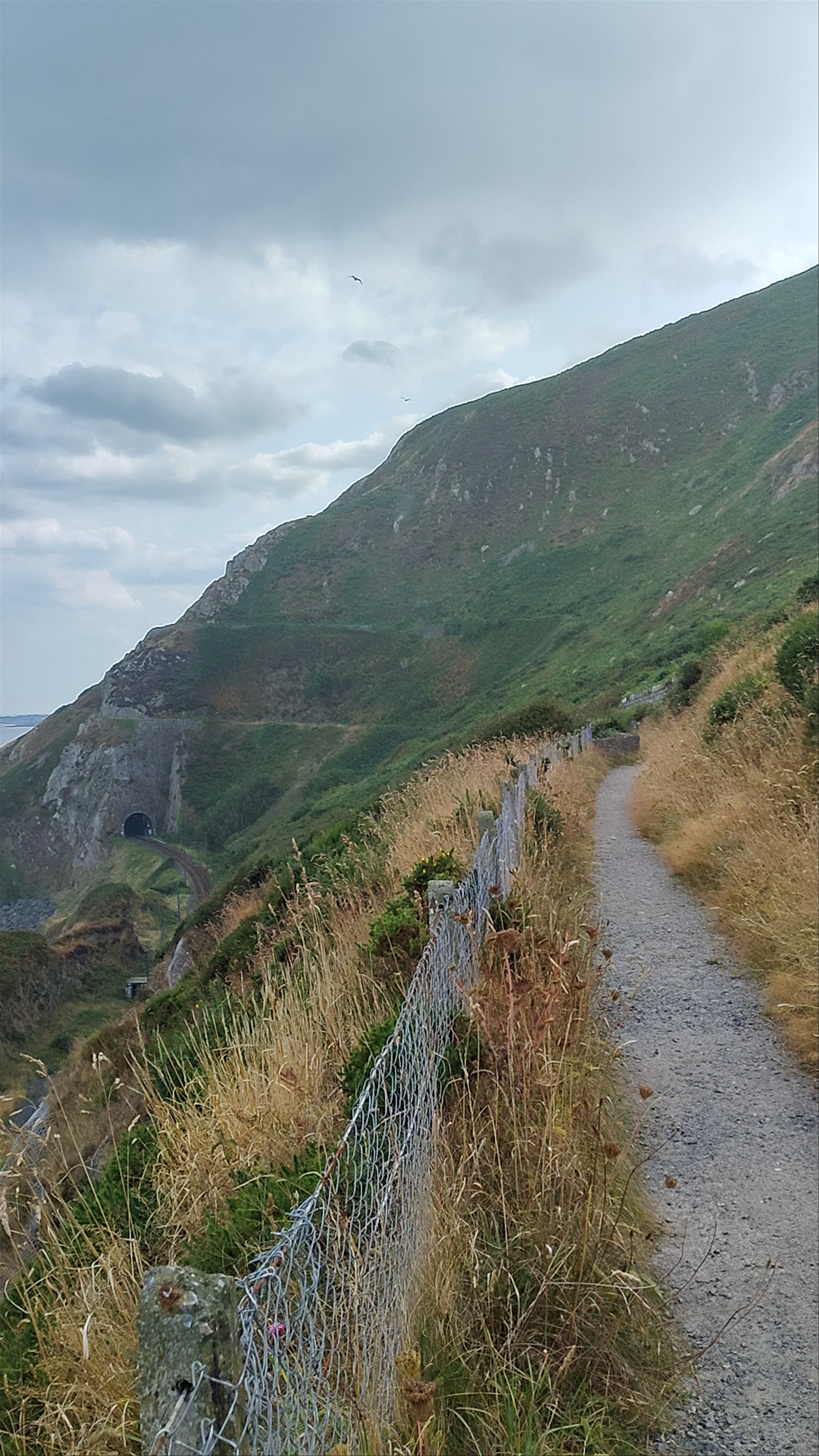 Bray To Greystones Walk