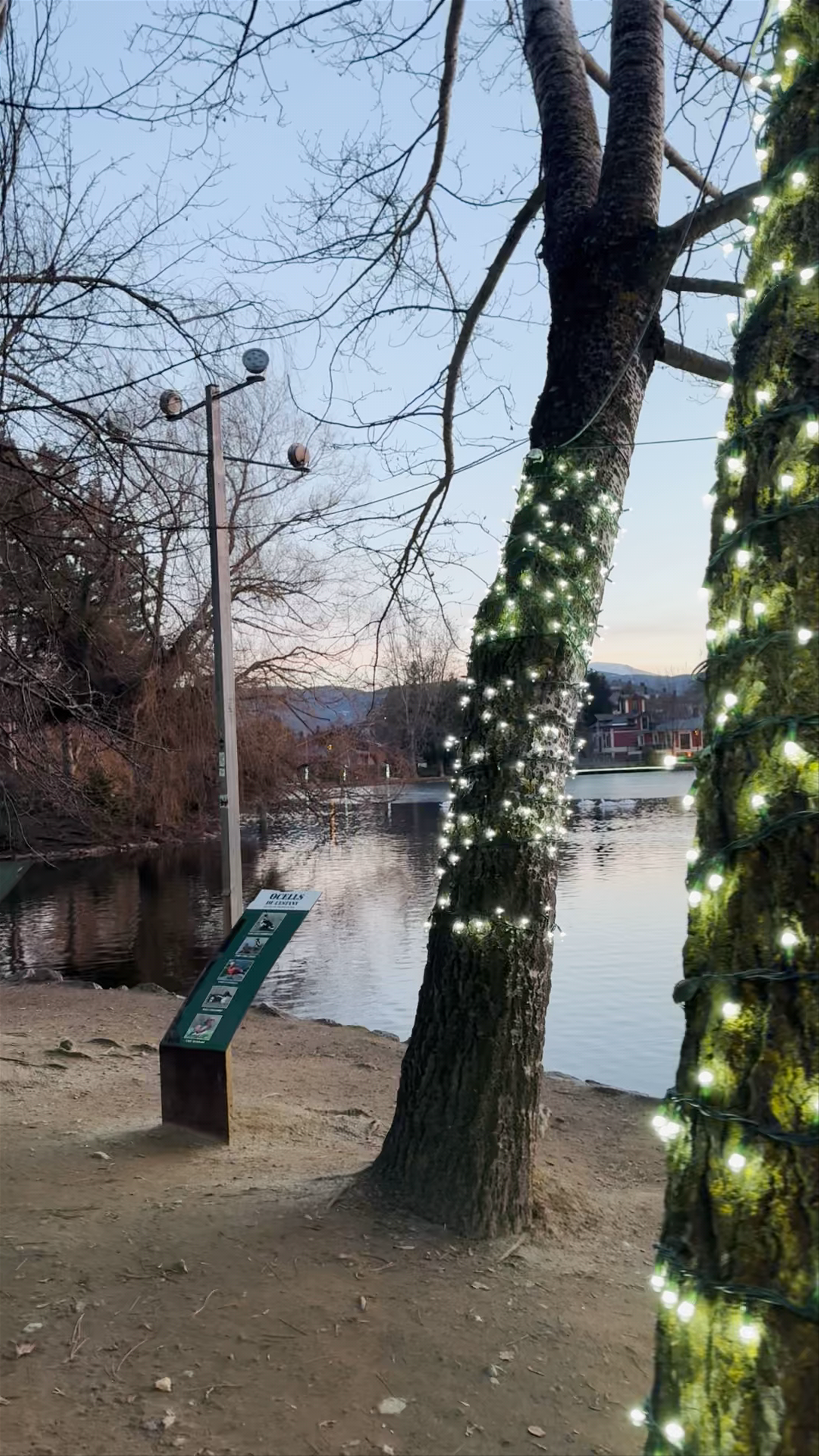 Magical Winter Twilight at Estany de Puigcerdà, Spain