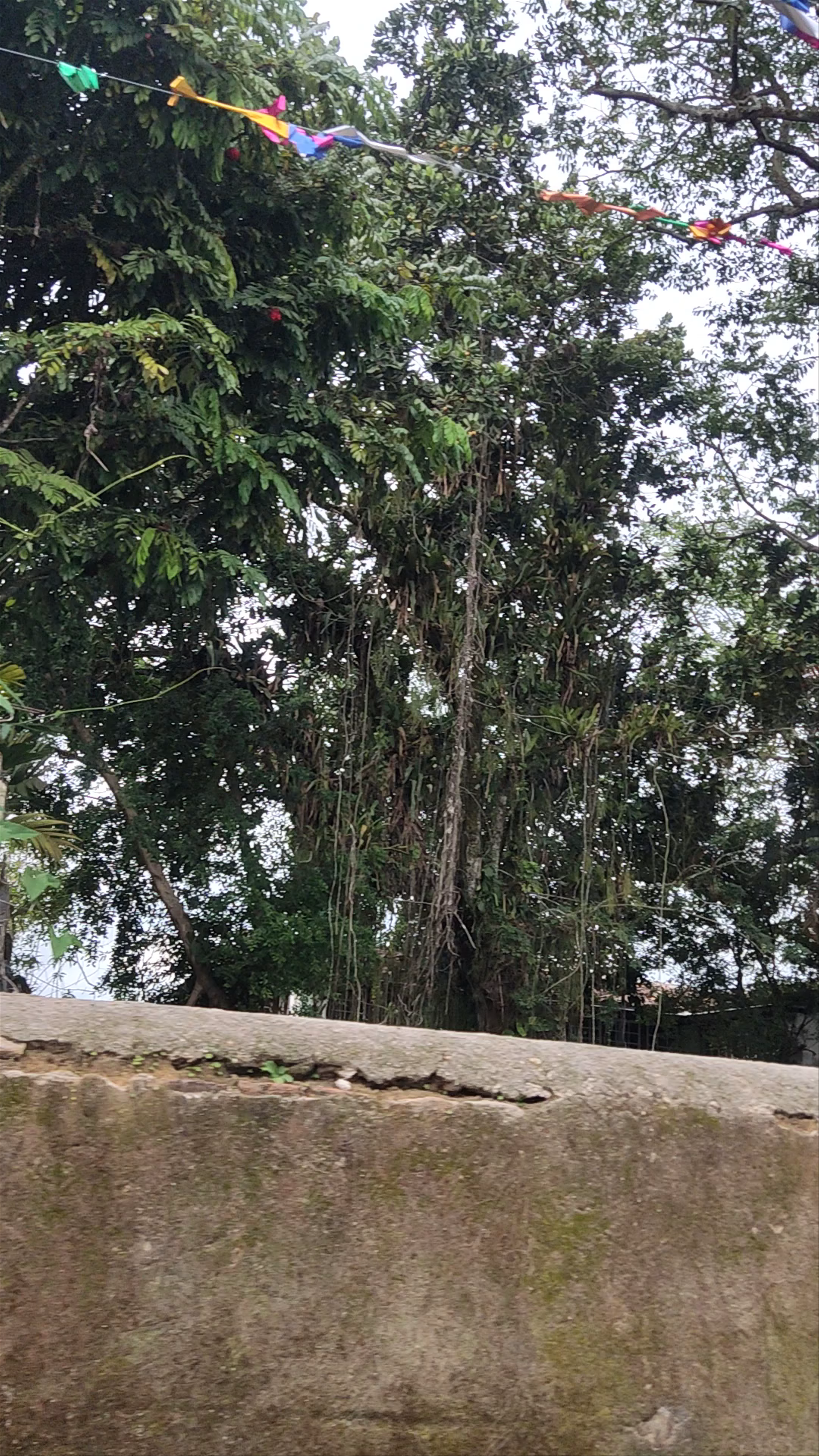 Centro Histórico de Paraty - Rua Domingos Gonçalves de Abreu - Centro Histórico
