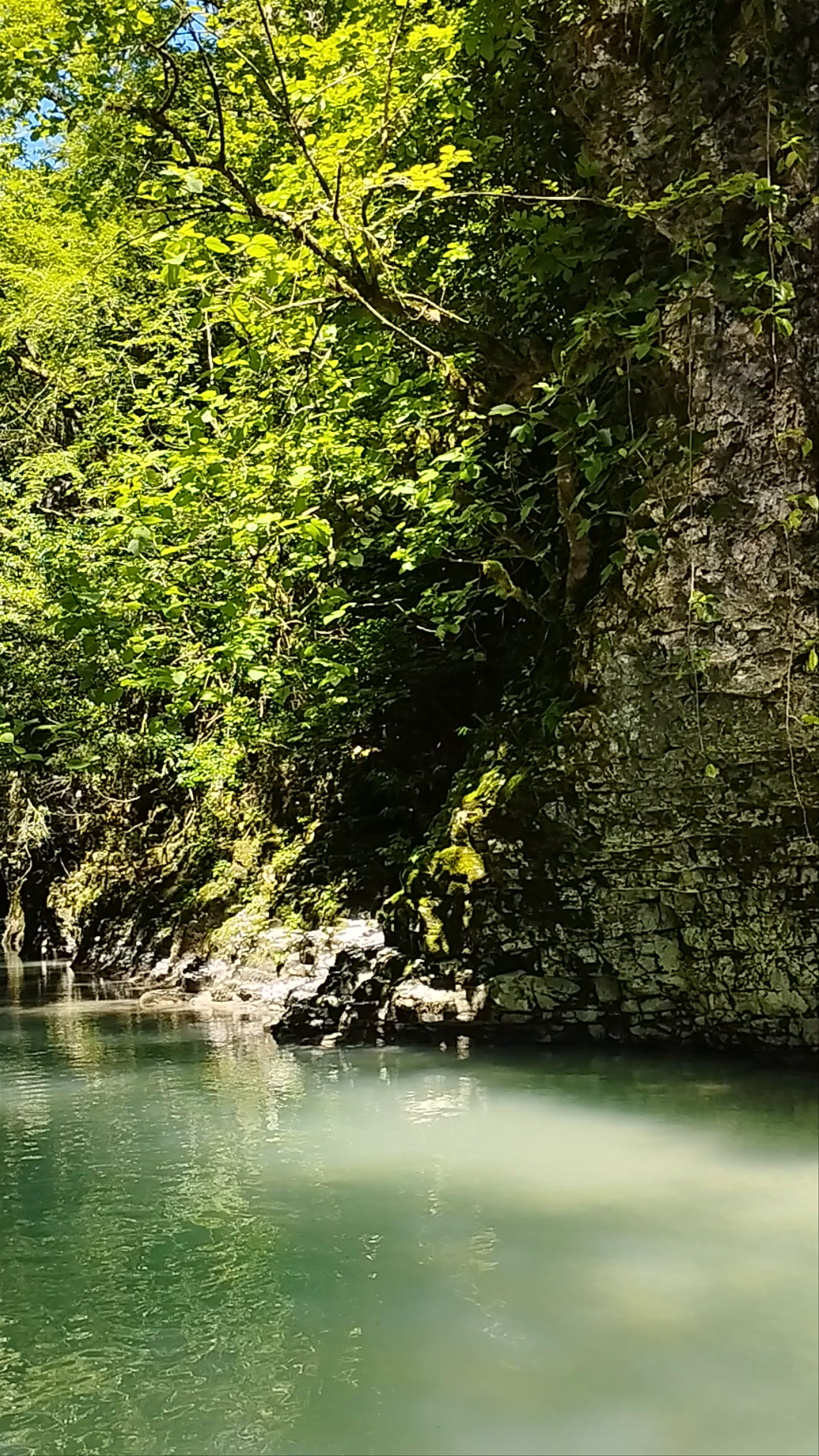 Martvili Canyon: A Hidden Paradise of Pristine Waters in Georgia