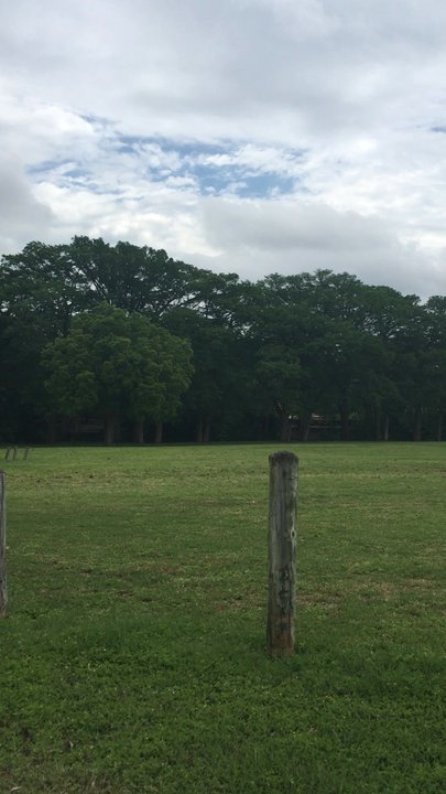 Cypress Bend Park - Parks Near Me - New Braunfels, Texas