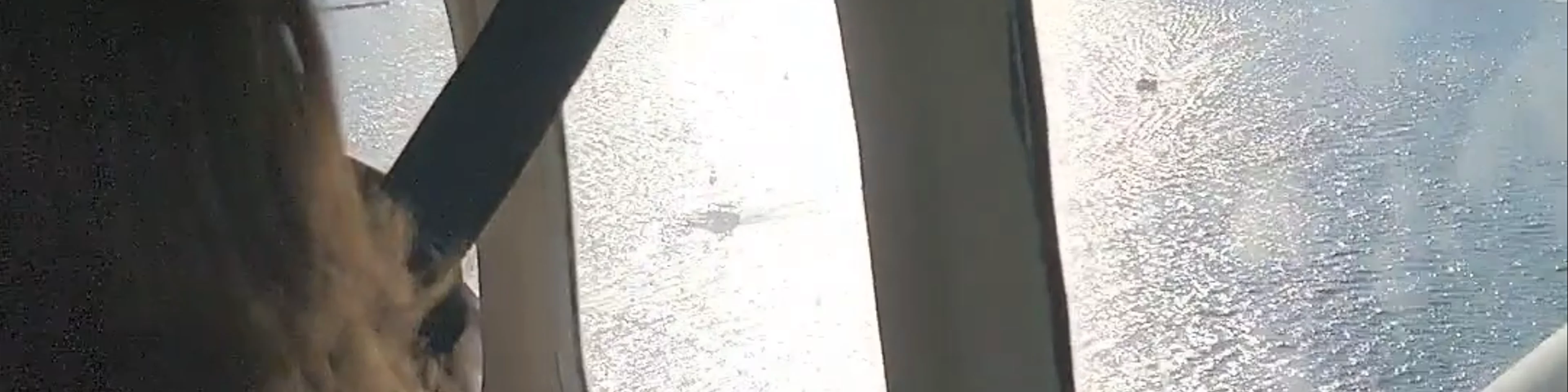 FLYGTA