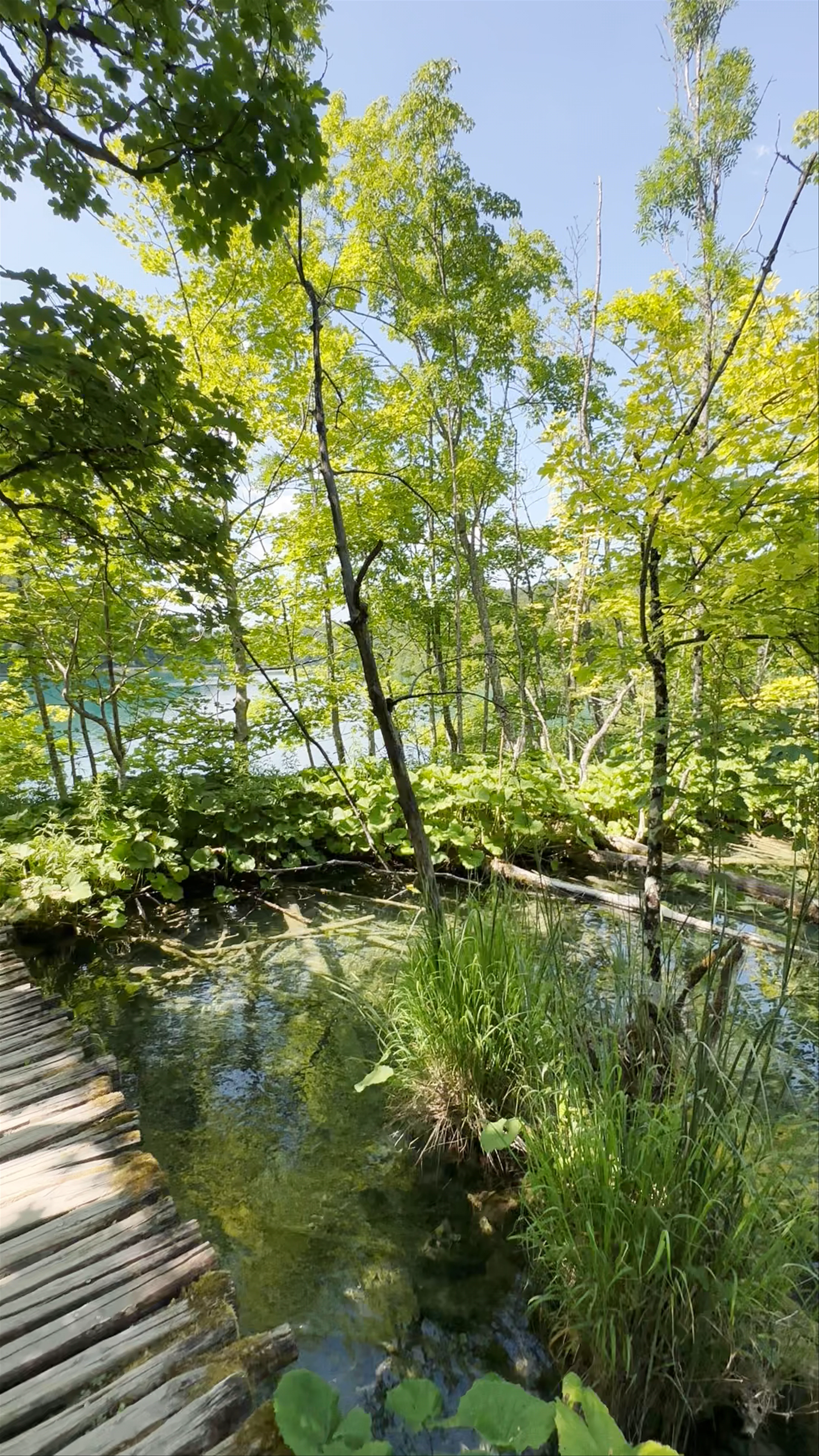 Gradinsko Jezero