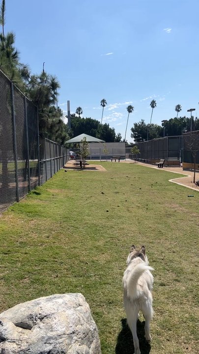 Garvey Paws - Large dog area - Dog Parks Near Me - Rosemead, California