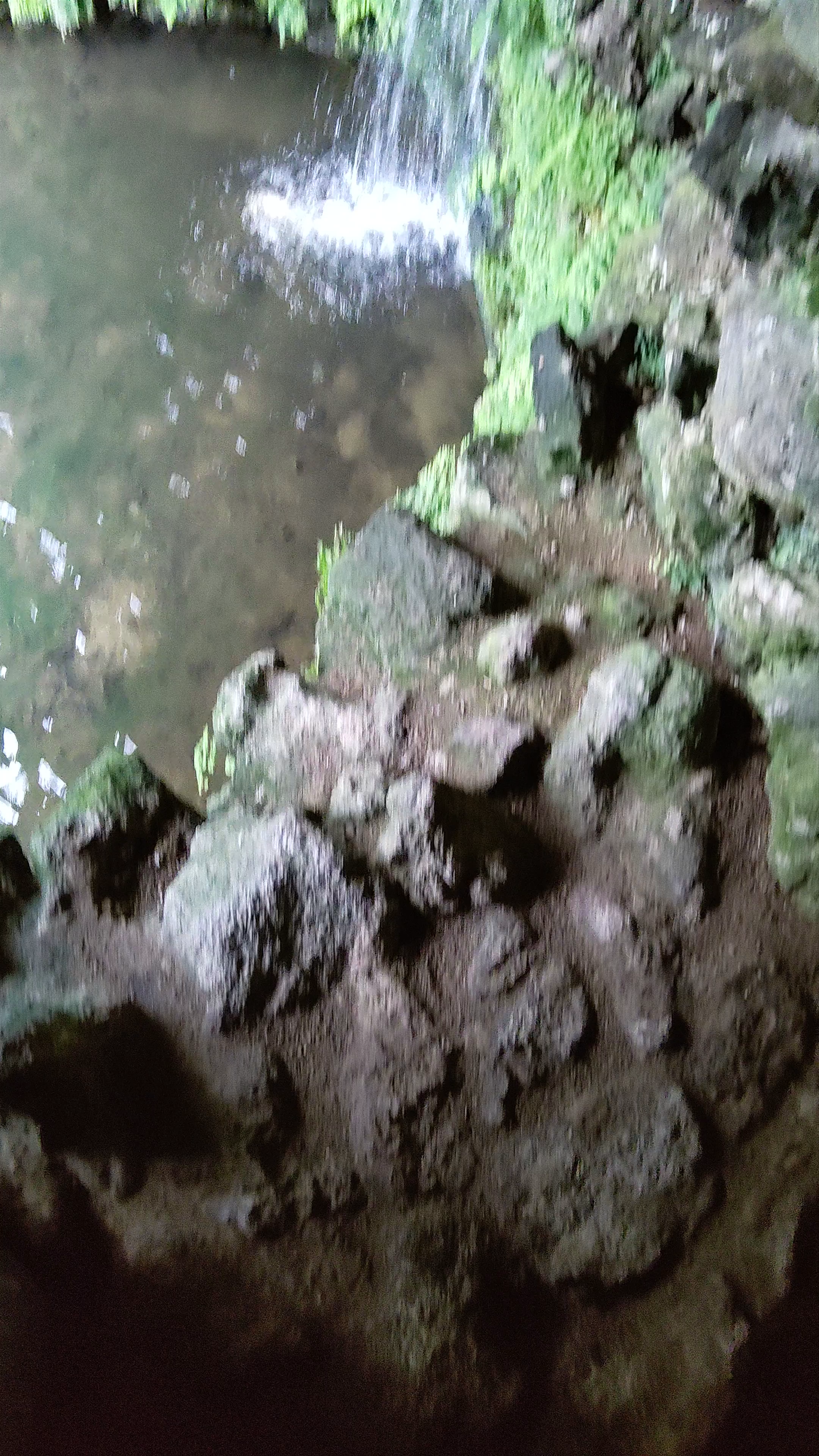 Parque Terra Nostra
