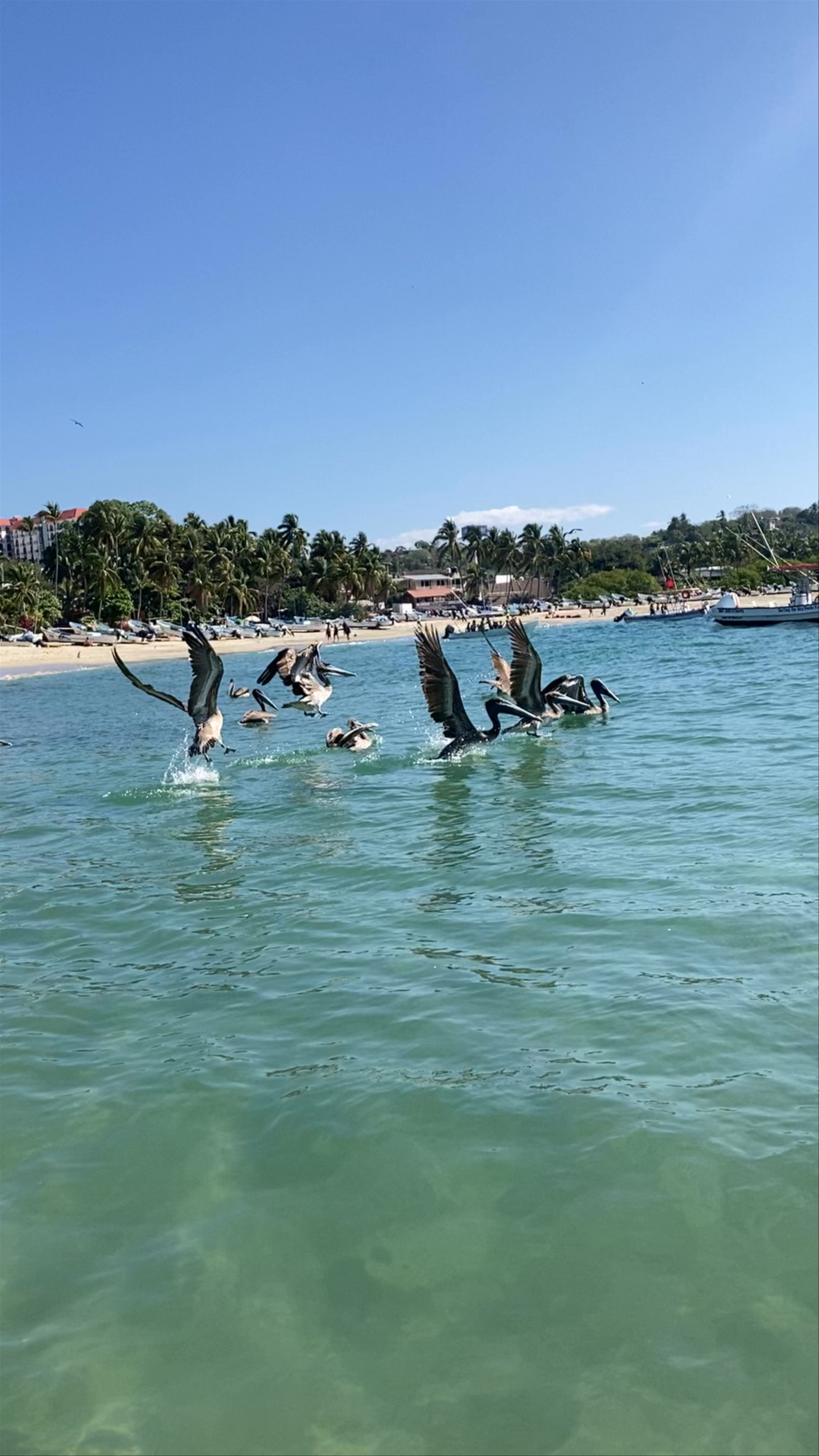 Bahia Puerto Escondido