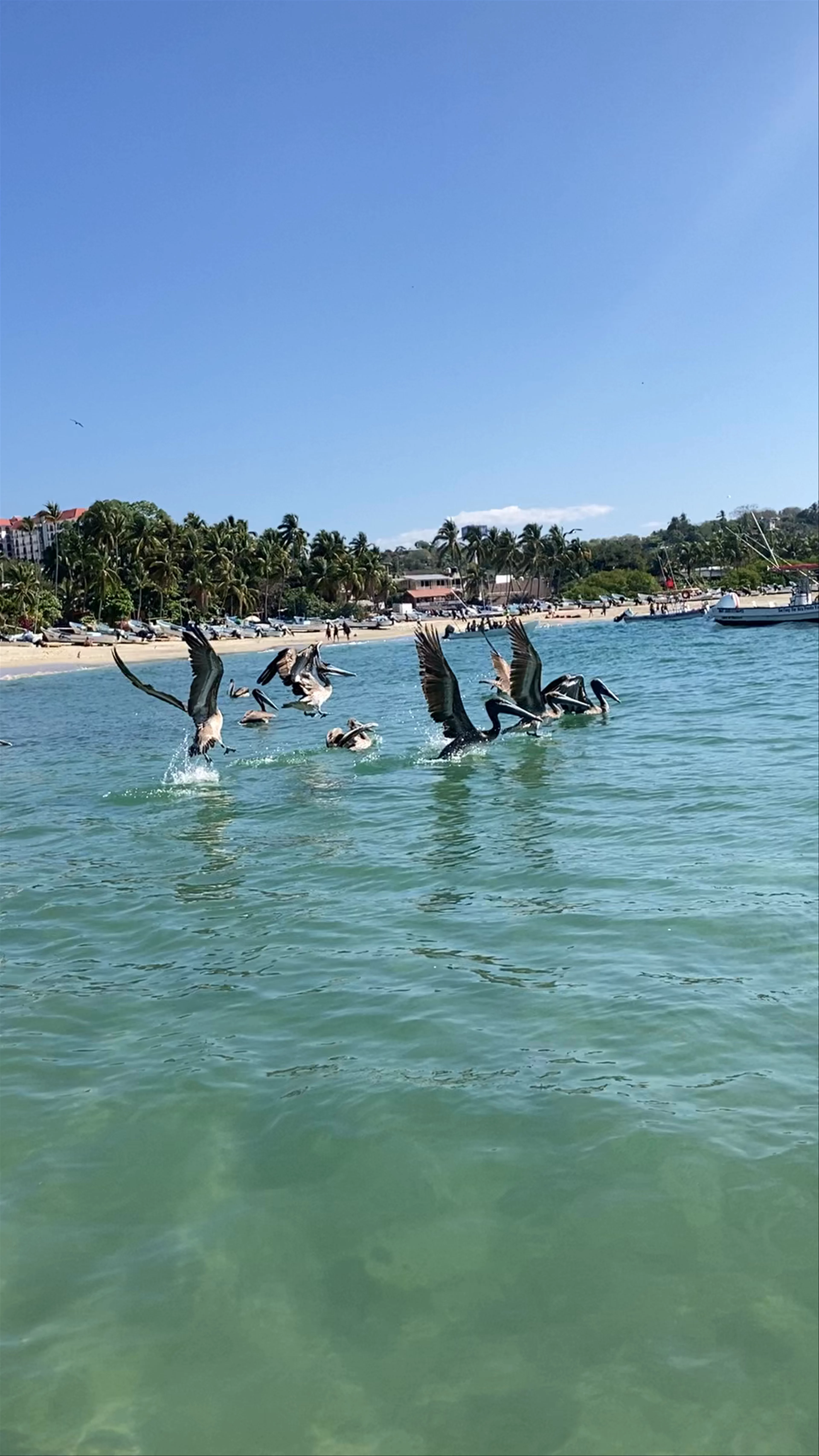 Bahia Puerto Escondido, Marina Nacional, Hidalgo