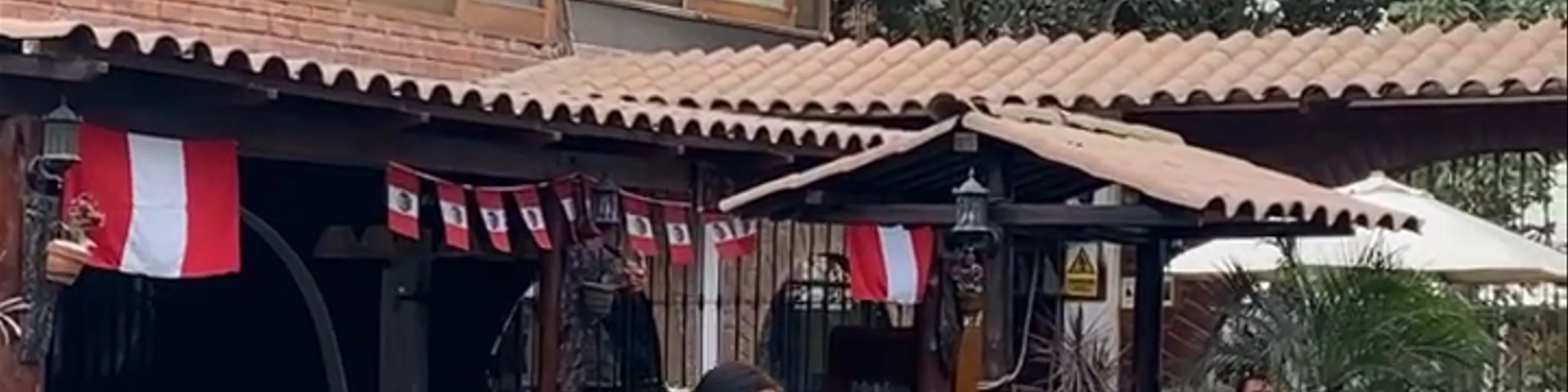 caballos de paso
