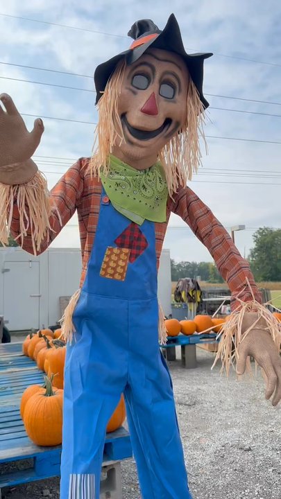 Troy Produce Patch - Motion activated - if you walk past him he starts talking to you-love it! - Farmers Market Near Me - Troy, Illinois