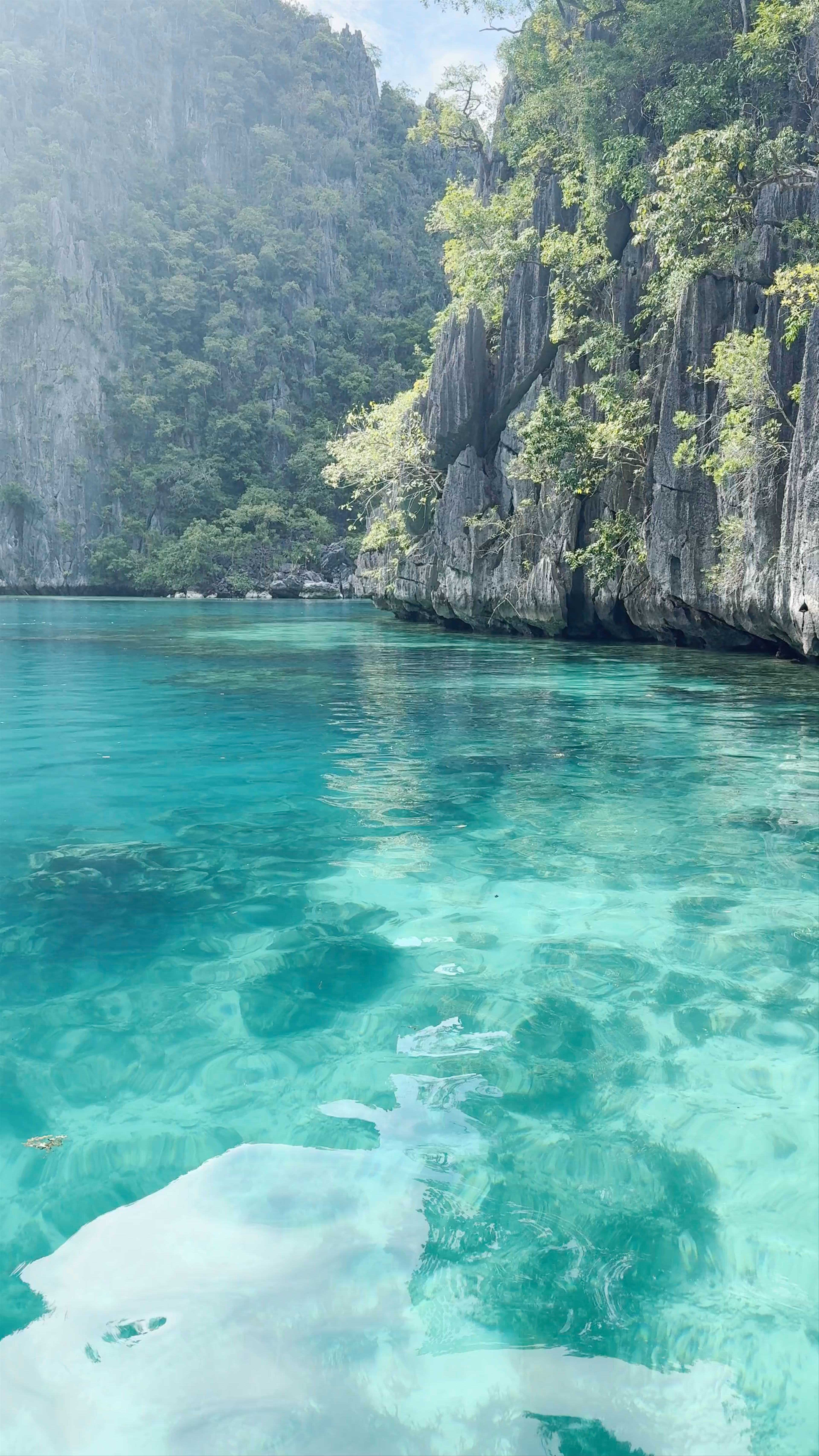 Pukaway Lagoon Serenity: Crystal Waters and Limestone Cliffs in Coron, Palawan