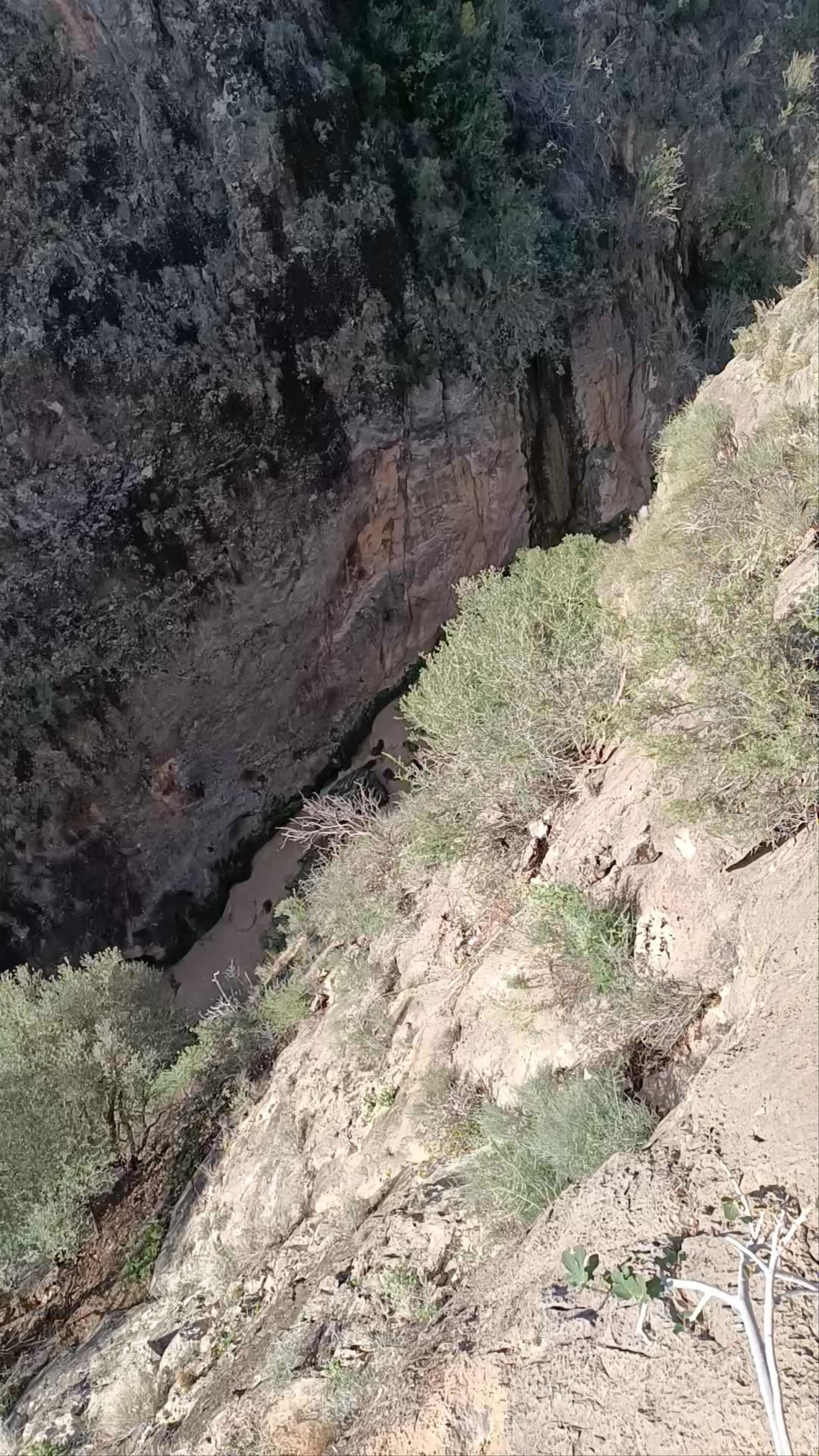 Cañón de Almadenes