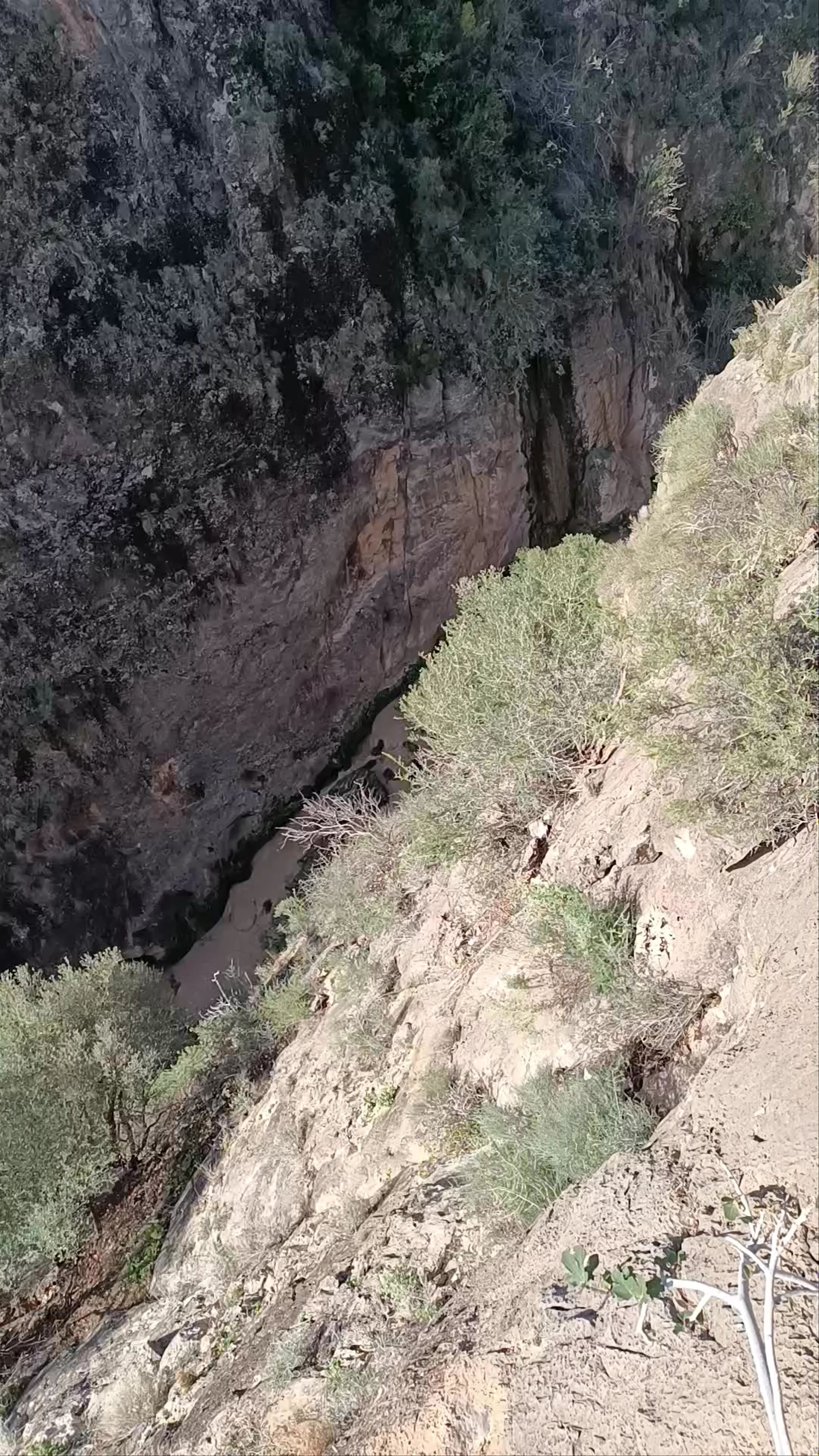 Cañón de Almadenes