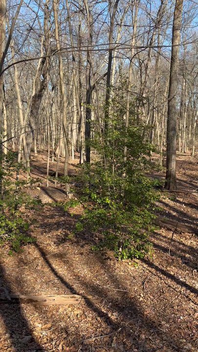 Diamond Brook Park - Parks Near Me