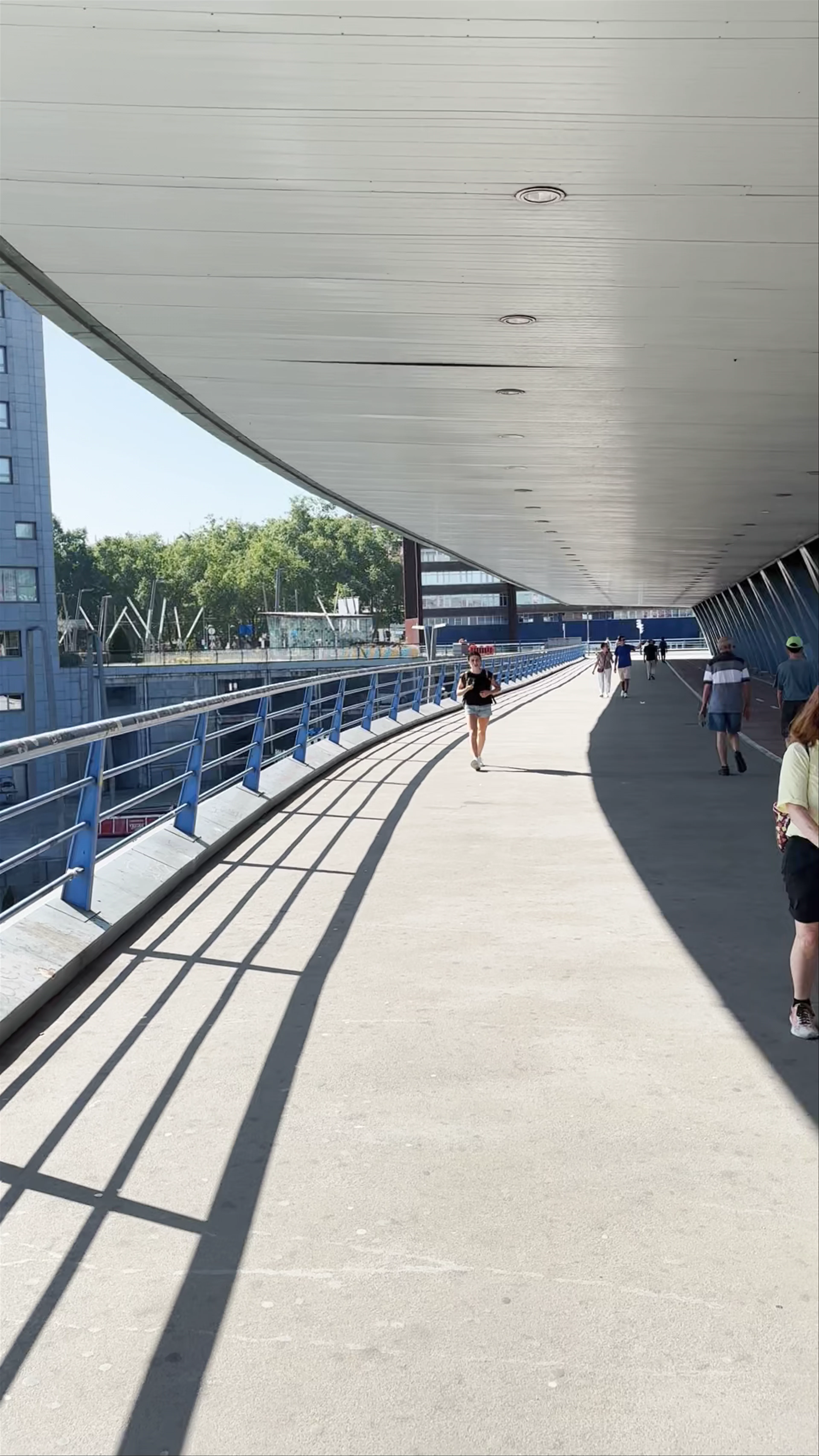 Puente Euskalduna, Euskalduna Zubia, Bilbao