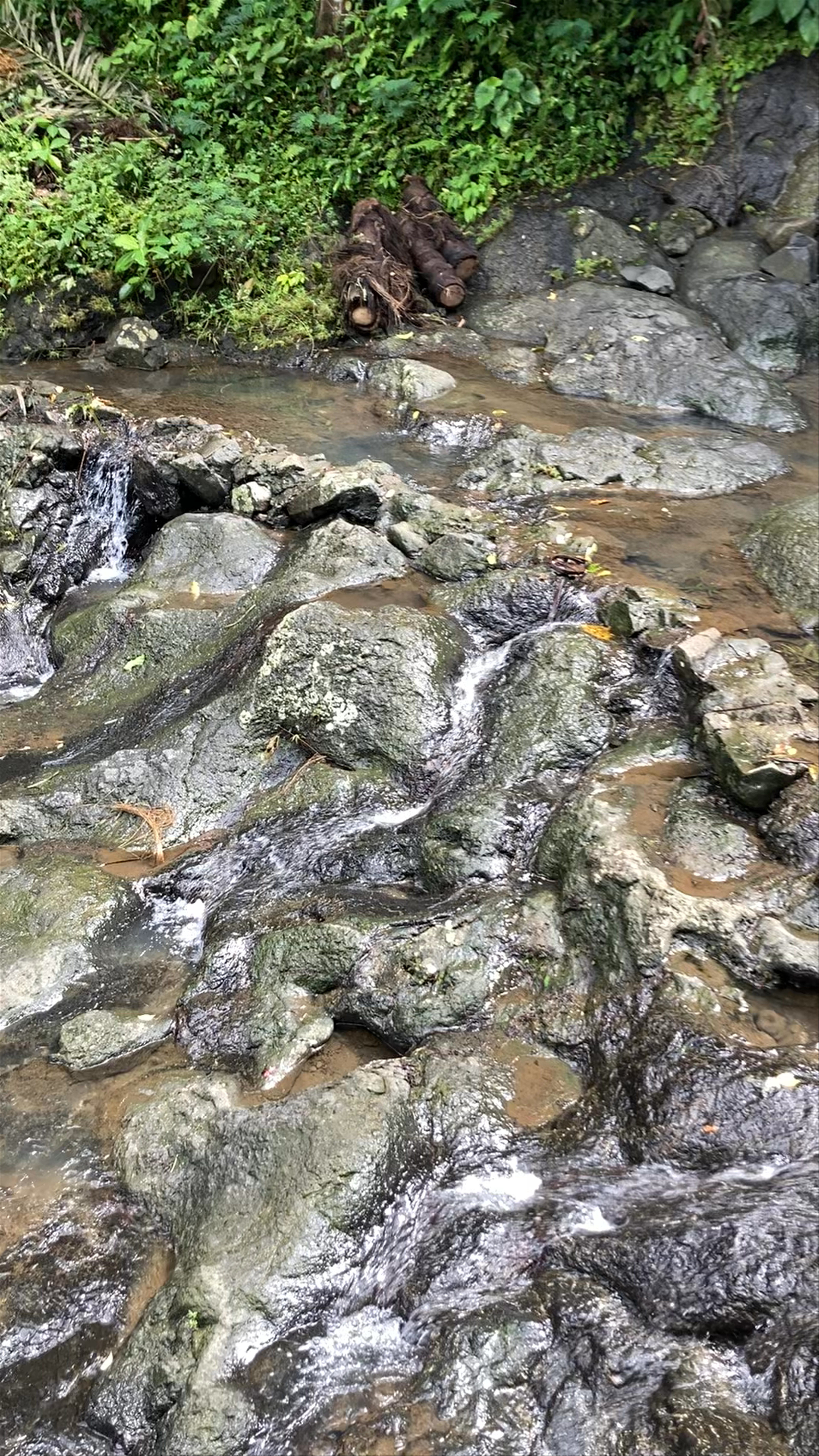 Gembleng Waterfall: A Hidden Tropical Oasis in Bali