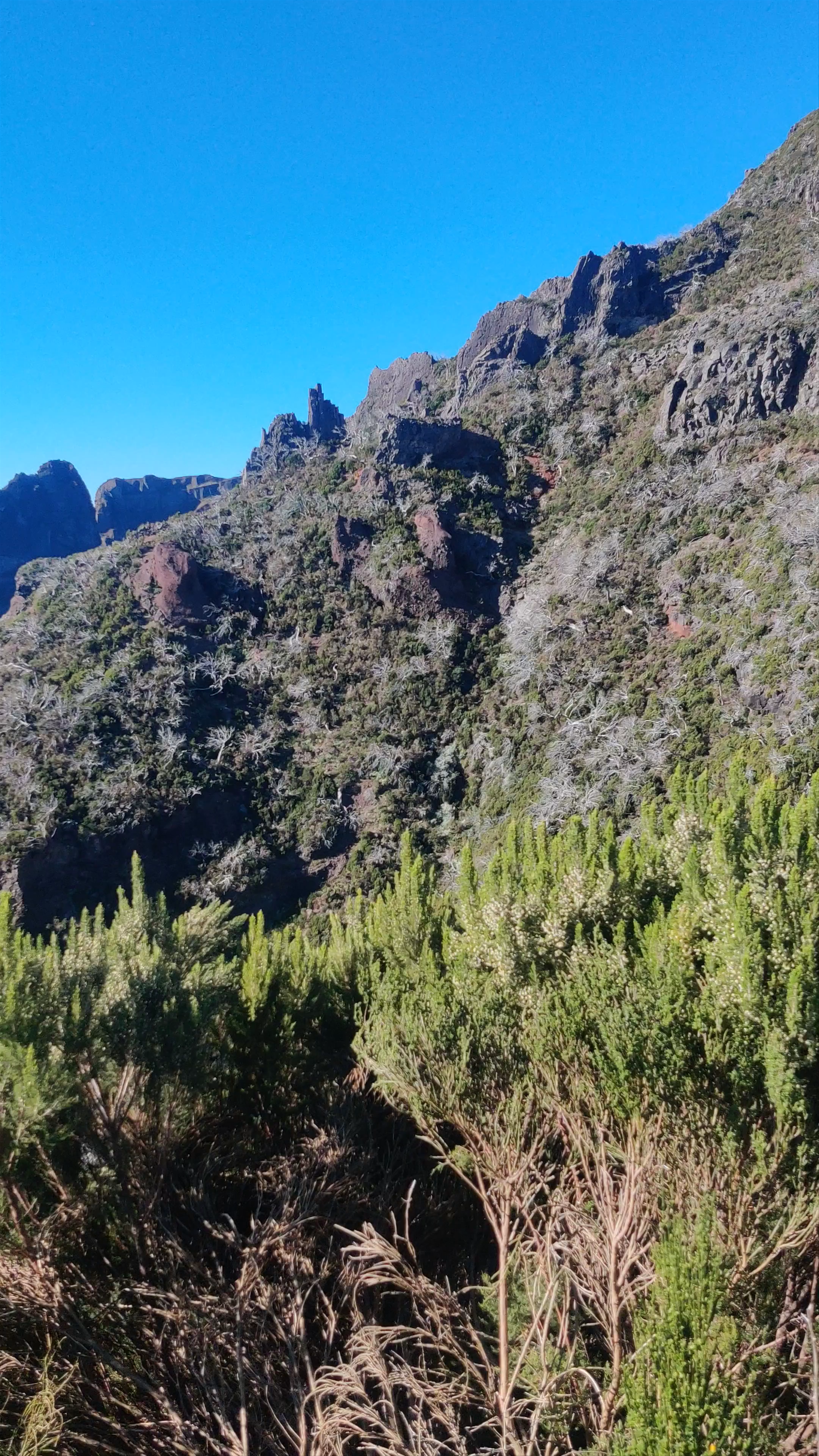 PR 1.2 Vereda do Pico Ruivo: Majestic Mountain Hiking in Madeira