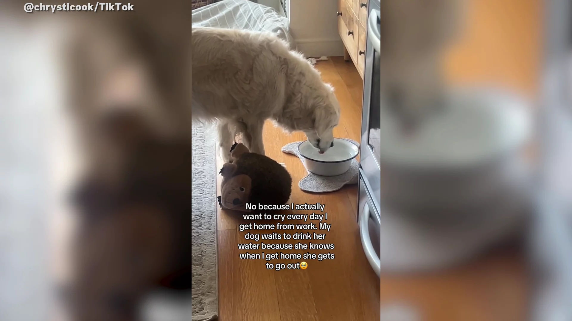 32 Funny Drinking Quotes So Funny You'll Spit Out Your Drink, image size:1920x1080