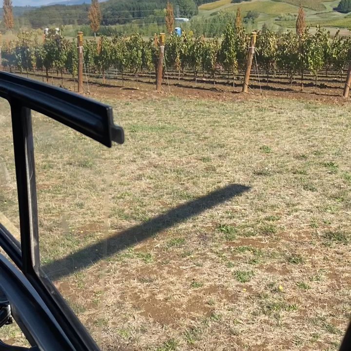 Tour DeVine by Heli - Taking off in the middle of a vineyard - Wine Tours Near Me - McMinnville, Oregon