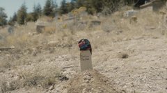 Bande-annonce en turc avec sous-titres français