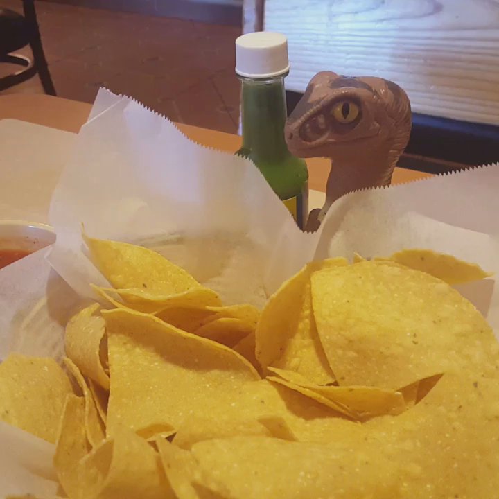 Cocos Locos - Mexican Near Me - Willoughby, Ohio