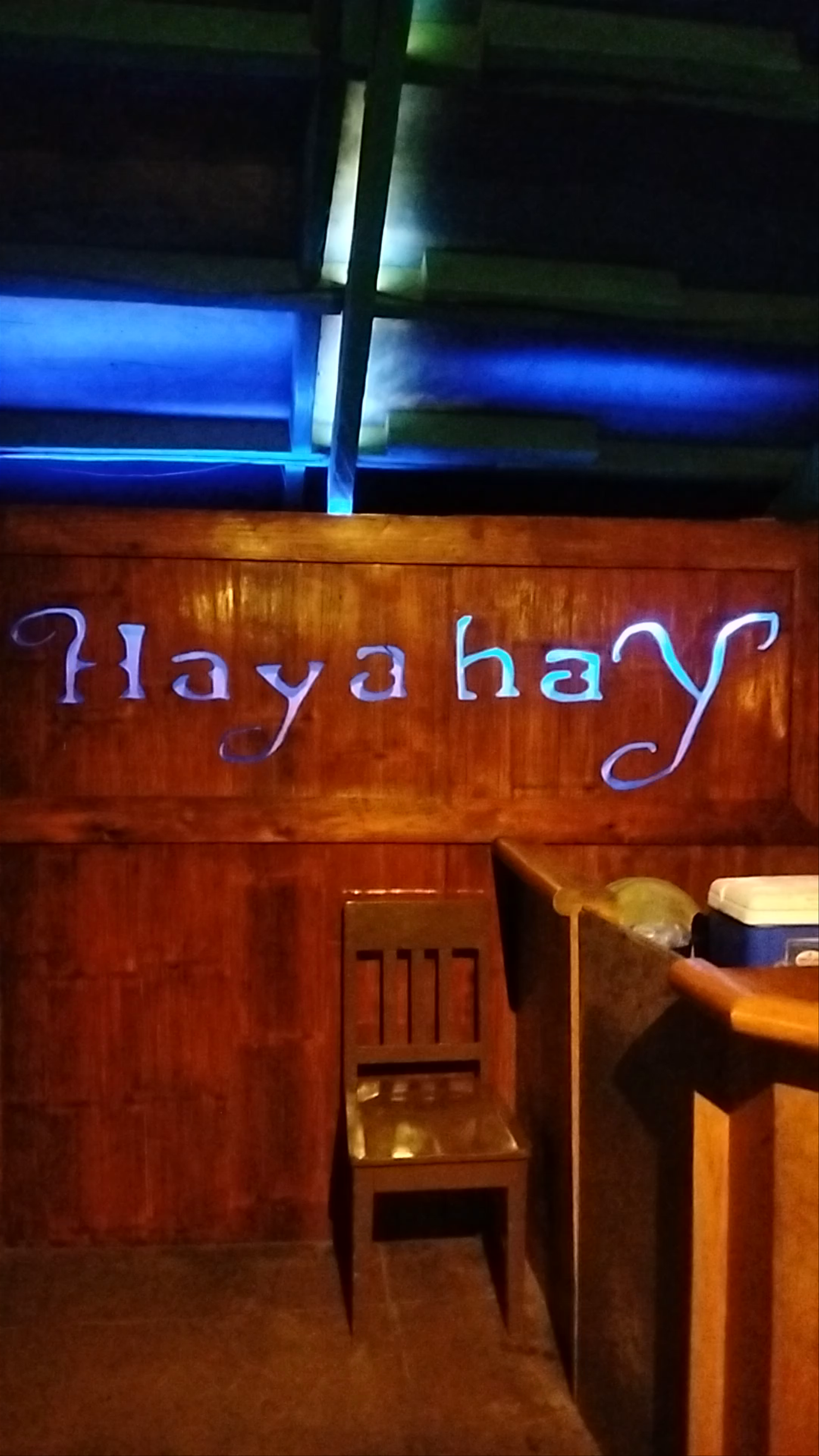 Hayahay Treehouse Bar and Viewdeck Restobar: Chill Nights in Dumaguete