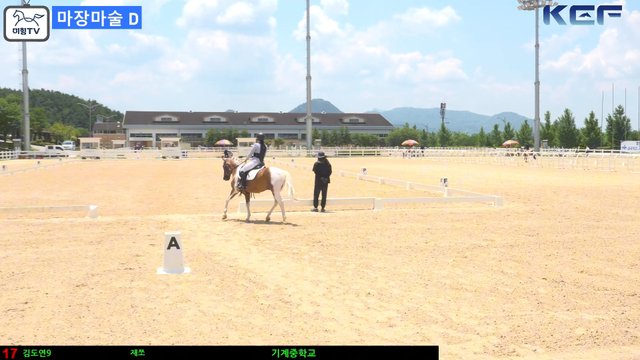 김도연9 (재쪼) — 제42회 대통령기 전국승마대회 (생활체육, 유소년) · 마장마술 D1 Class