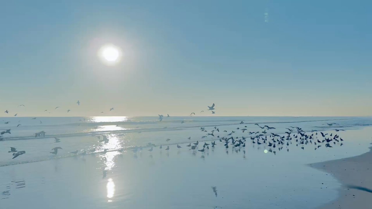 Butler Beach - Beaches Near Me - Saint Augustine, Florida