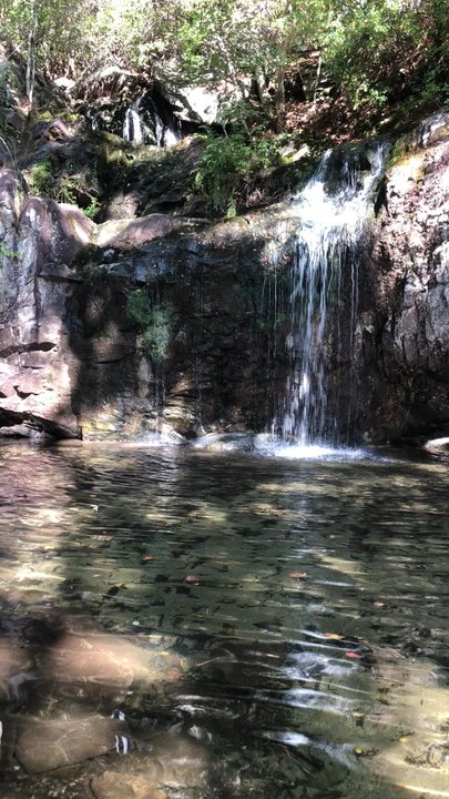 Cheaha State Park - Beautiful hiking! - Hiking Near Me - Delta, Alabama