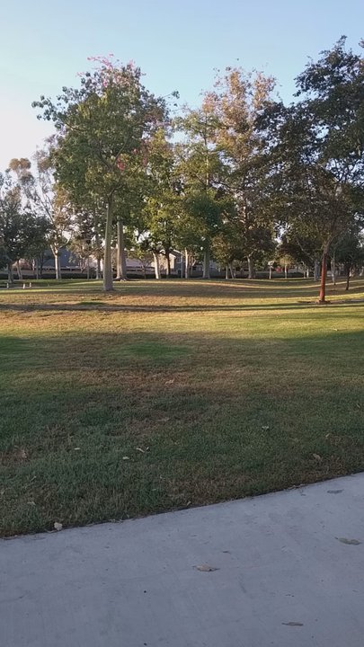 Sycamore Park - Parks Near Me - Irvine, California