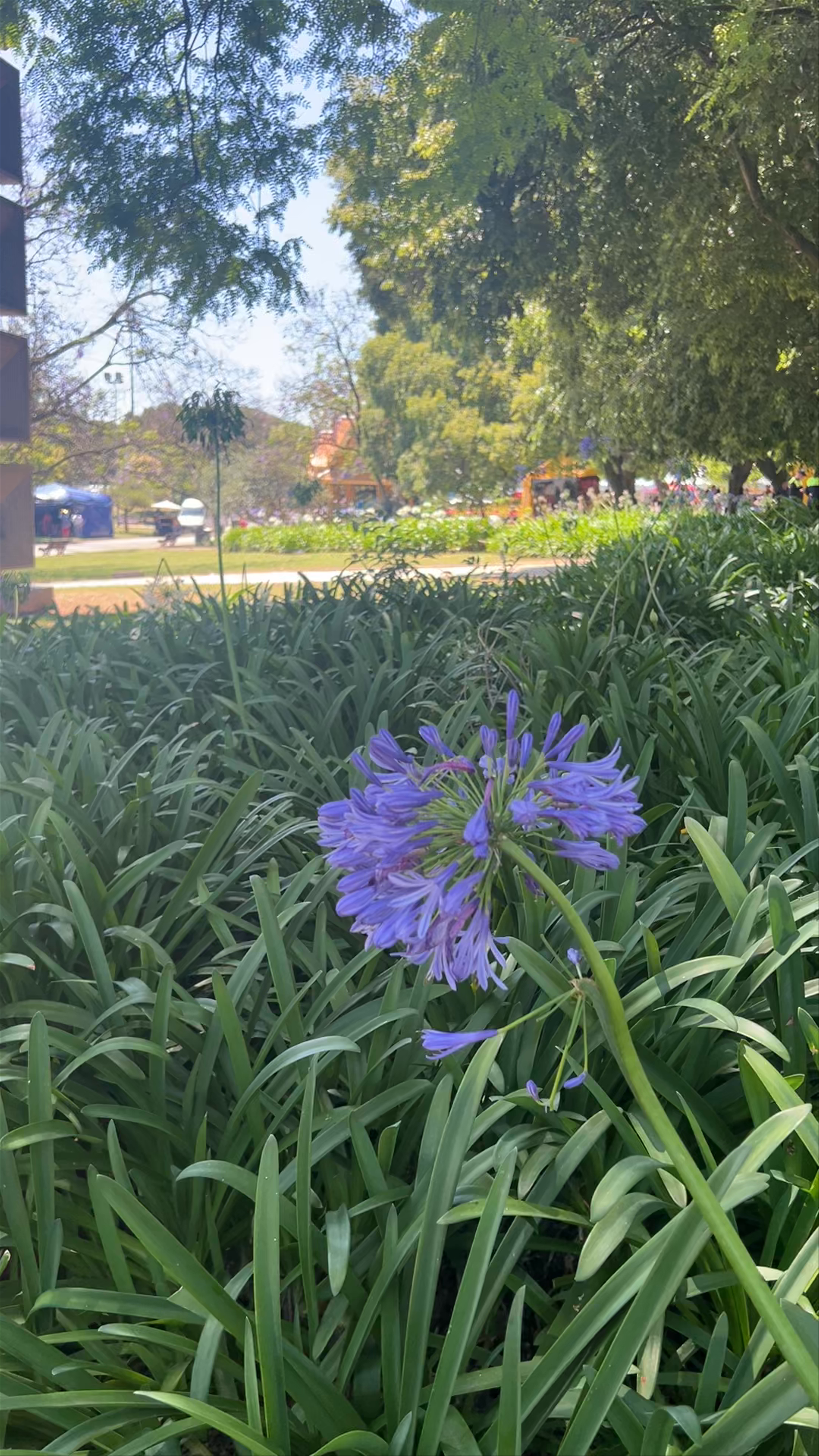 Garden Vasco da Gama
