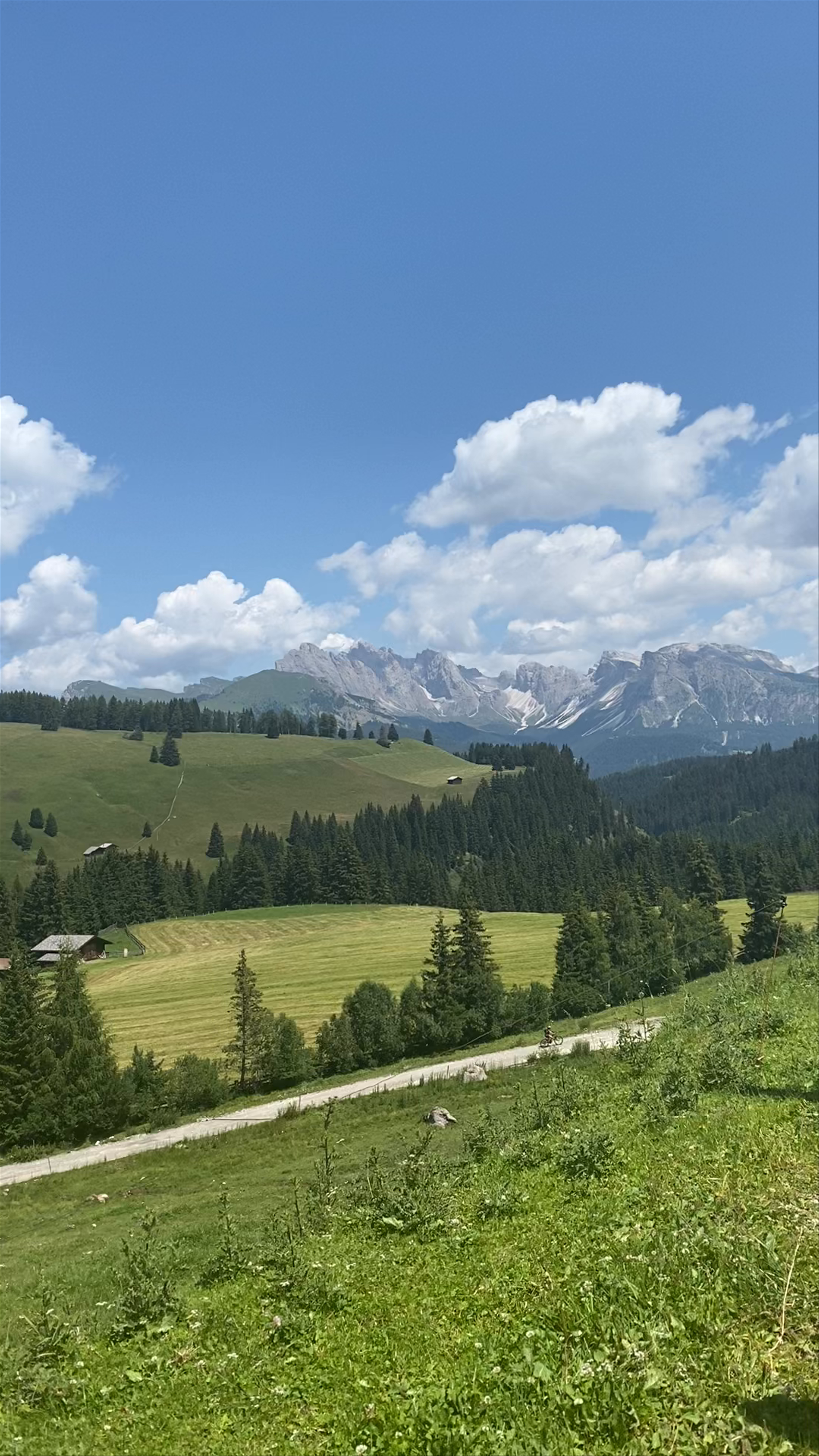 Summer Serenity and Alpine Adventure at Alpe Di Siusi, Italy